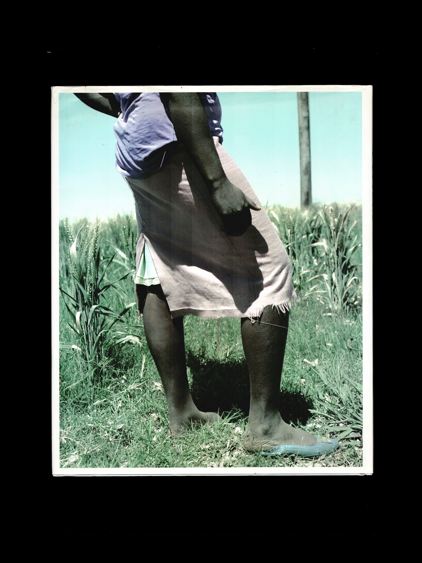 FARM (2002)