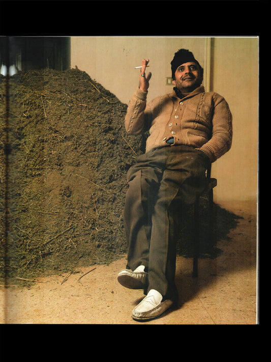 HASHISH (1984)