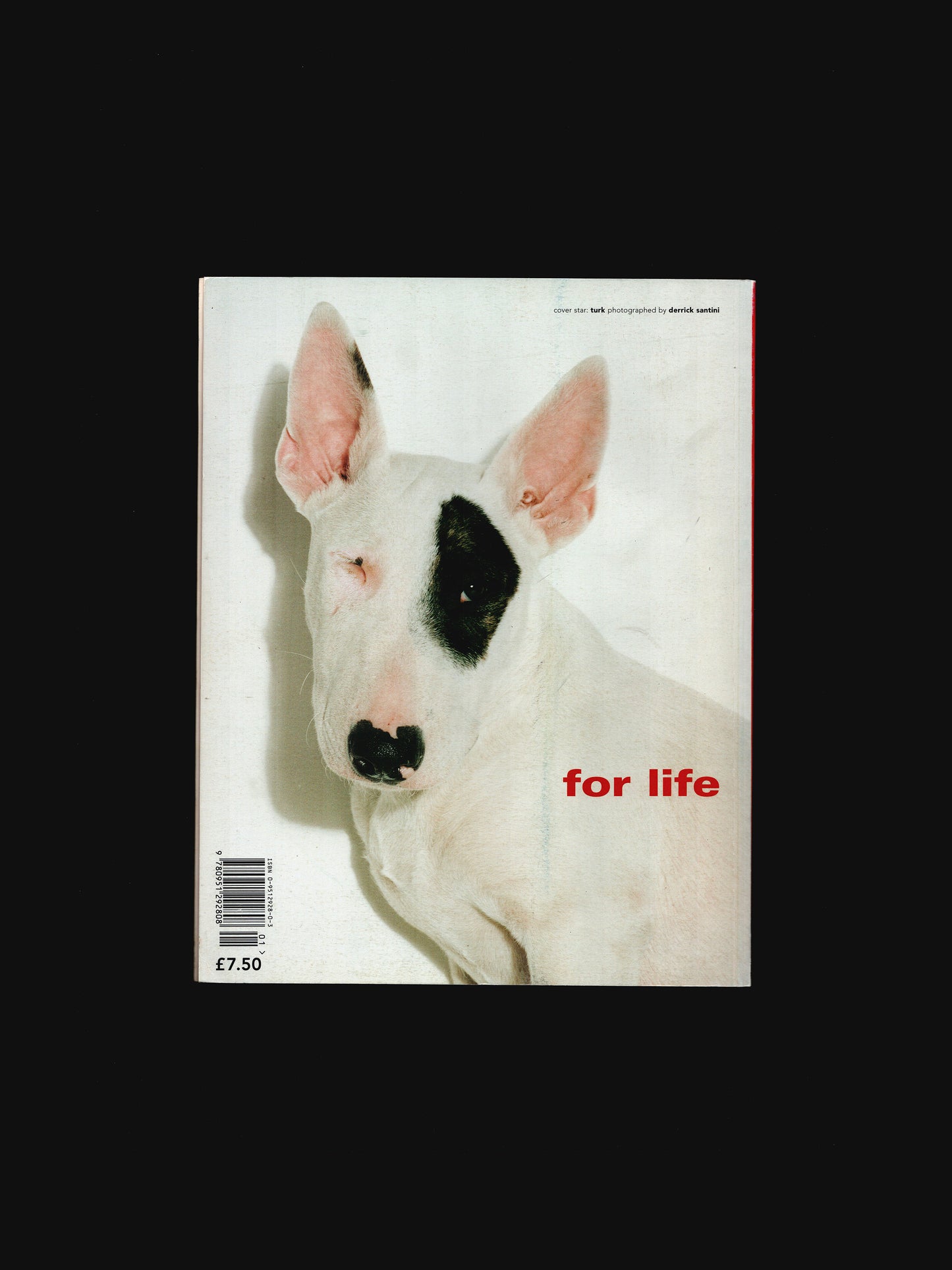 FAMILY FUTURE POSITIVE (1998)