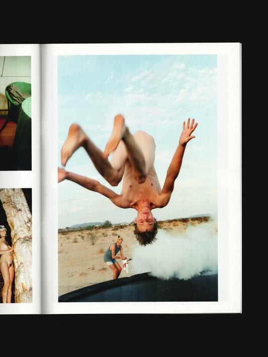 THE RYAN MCGINLEY PURPLE BOOK (2013)
