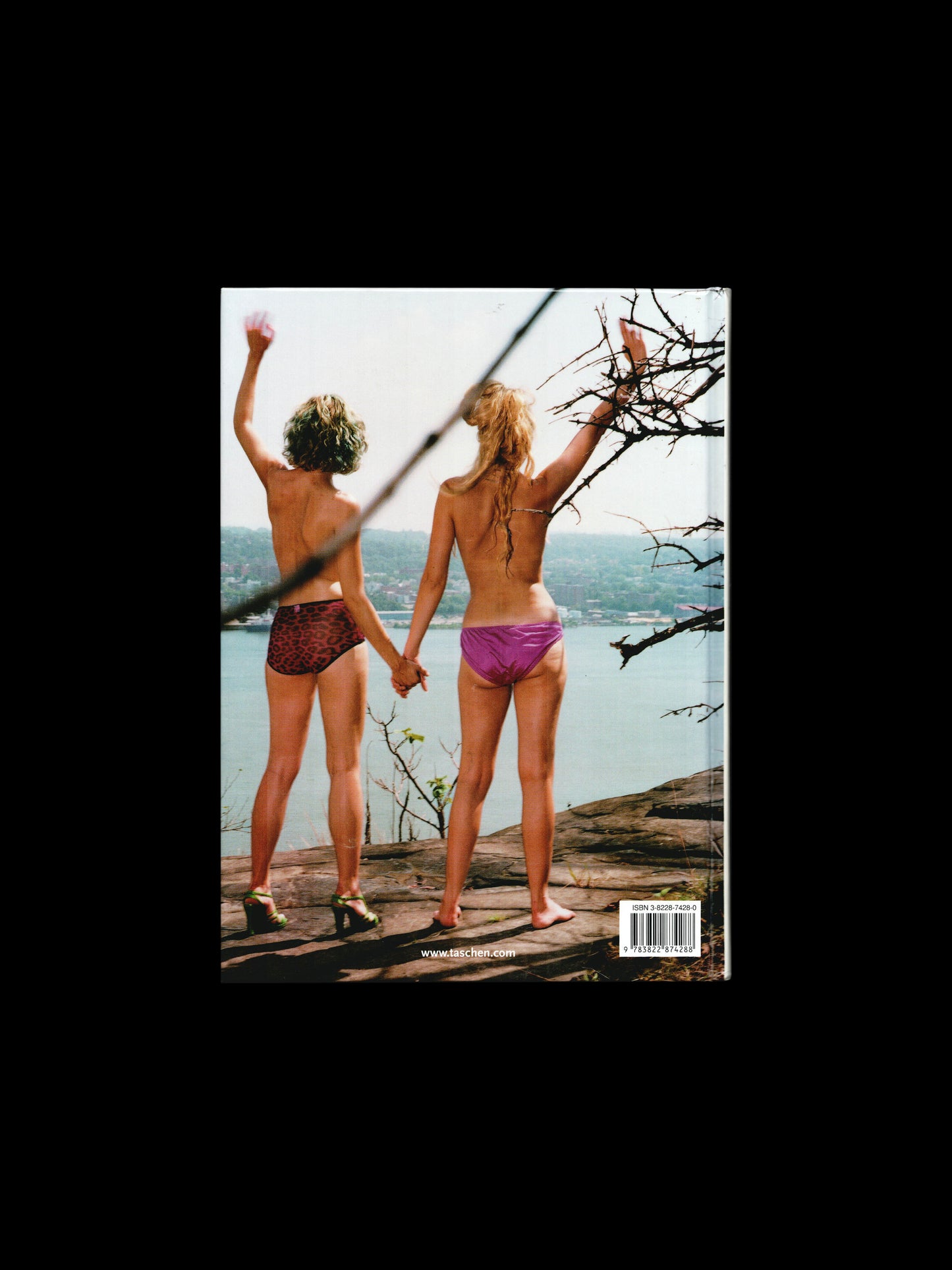 MODEL RELEASE (2000)