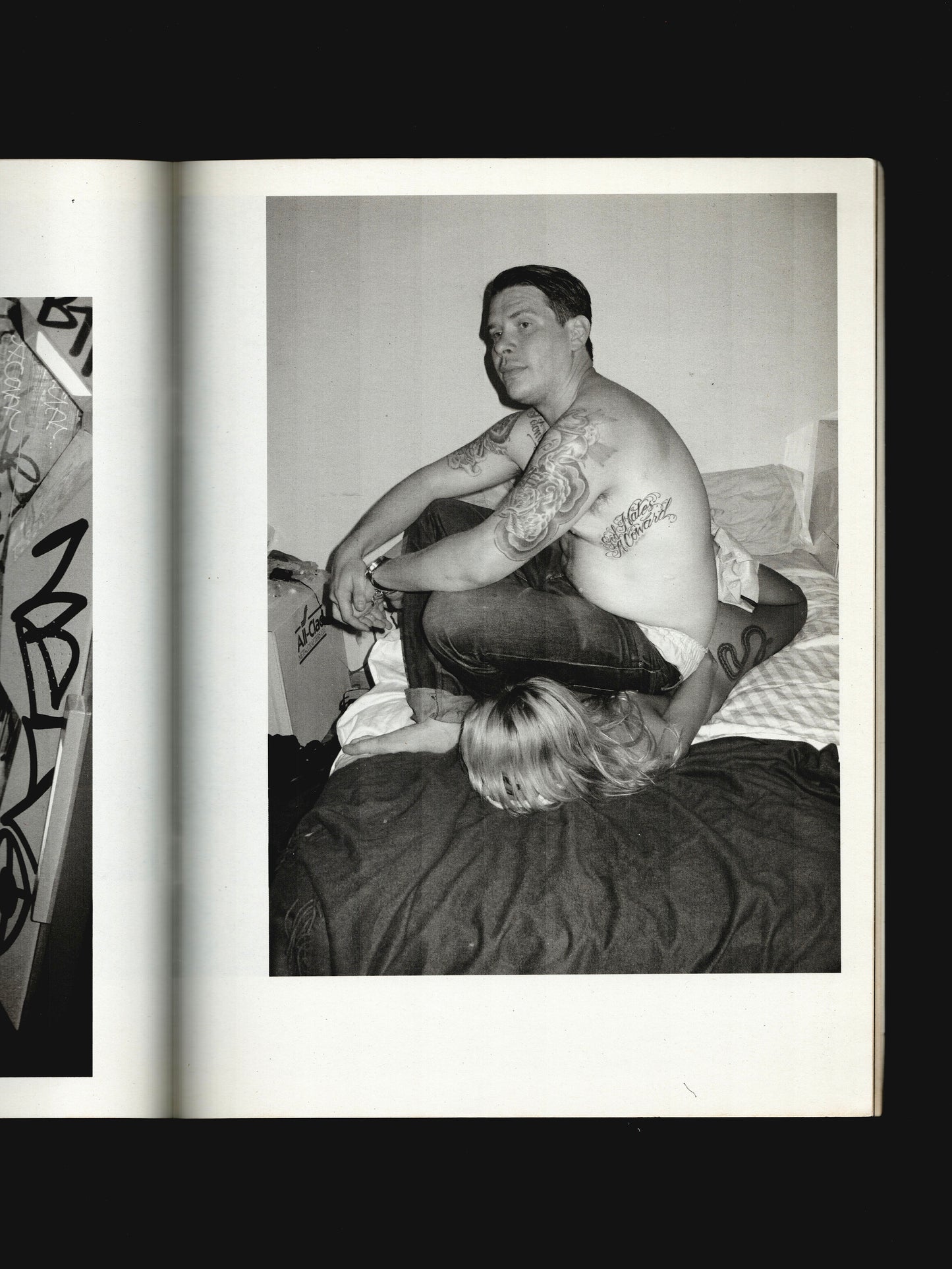 THE AUREL SCHMIDT PURPLE BOOK (2010)