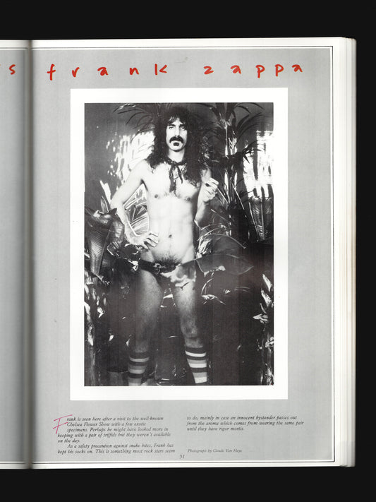 ROCKS STARS IN THEIR UNDERPANTS (1980)