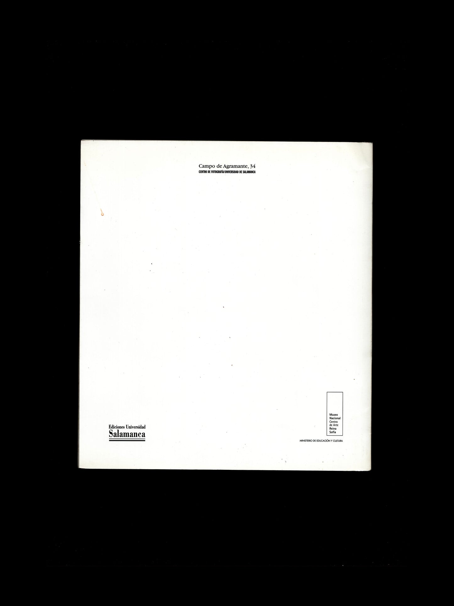 THE PHOTOGRAPHS OF SARAH JONES (1999)