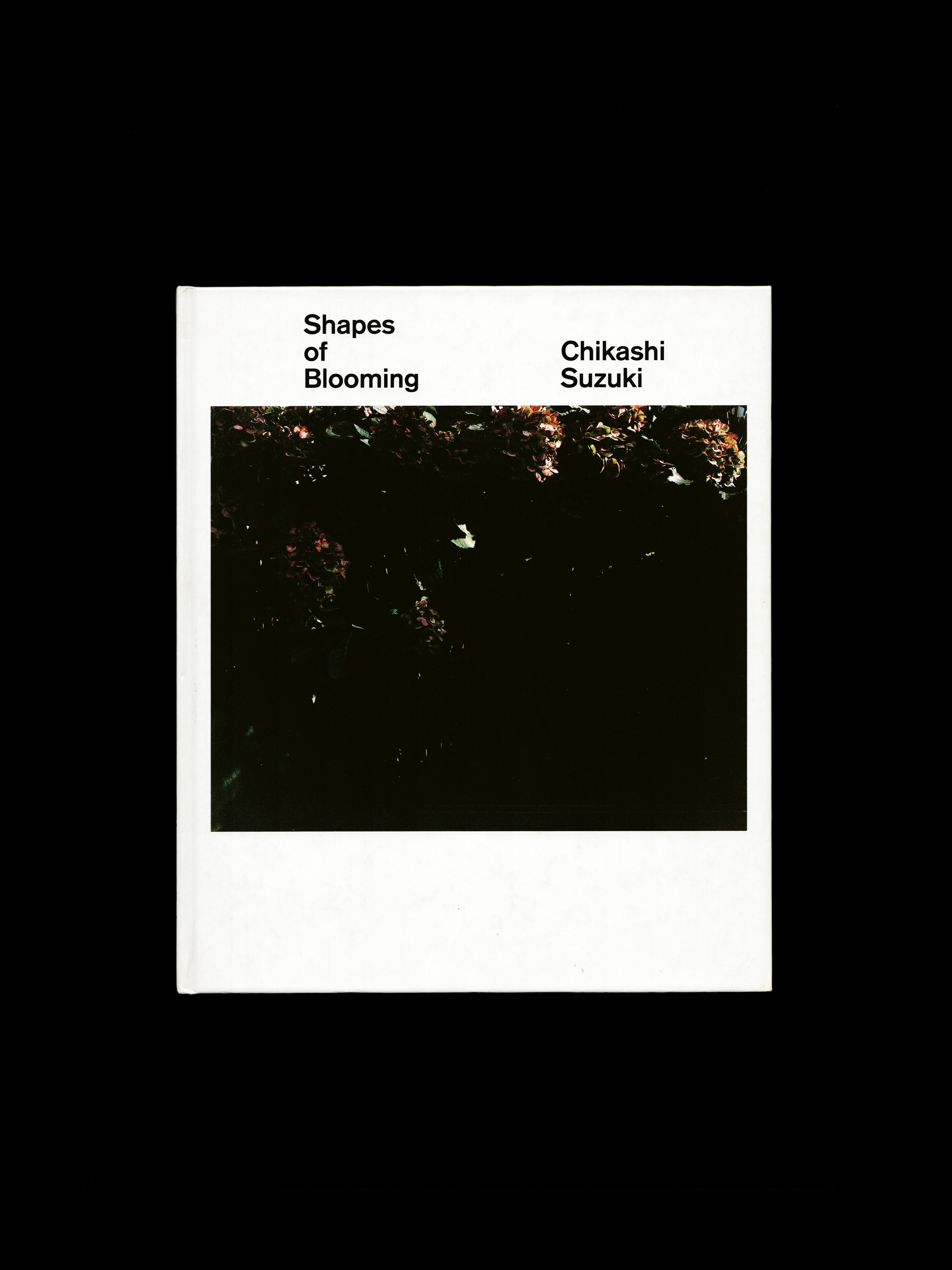 SHAPES OF BLOOMING (2005)