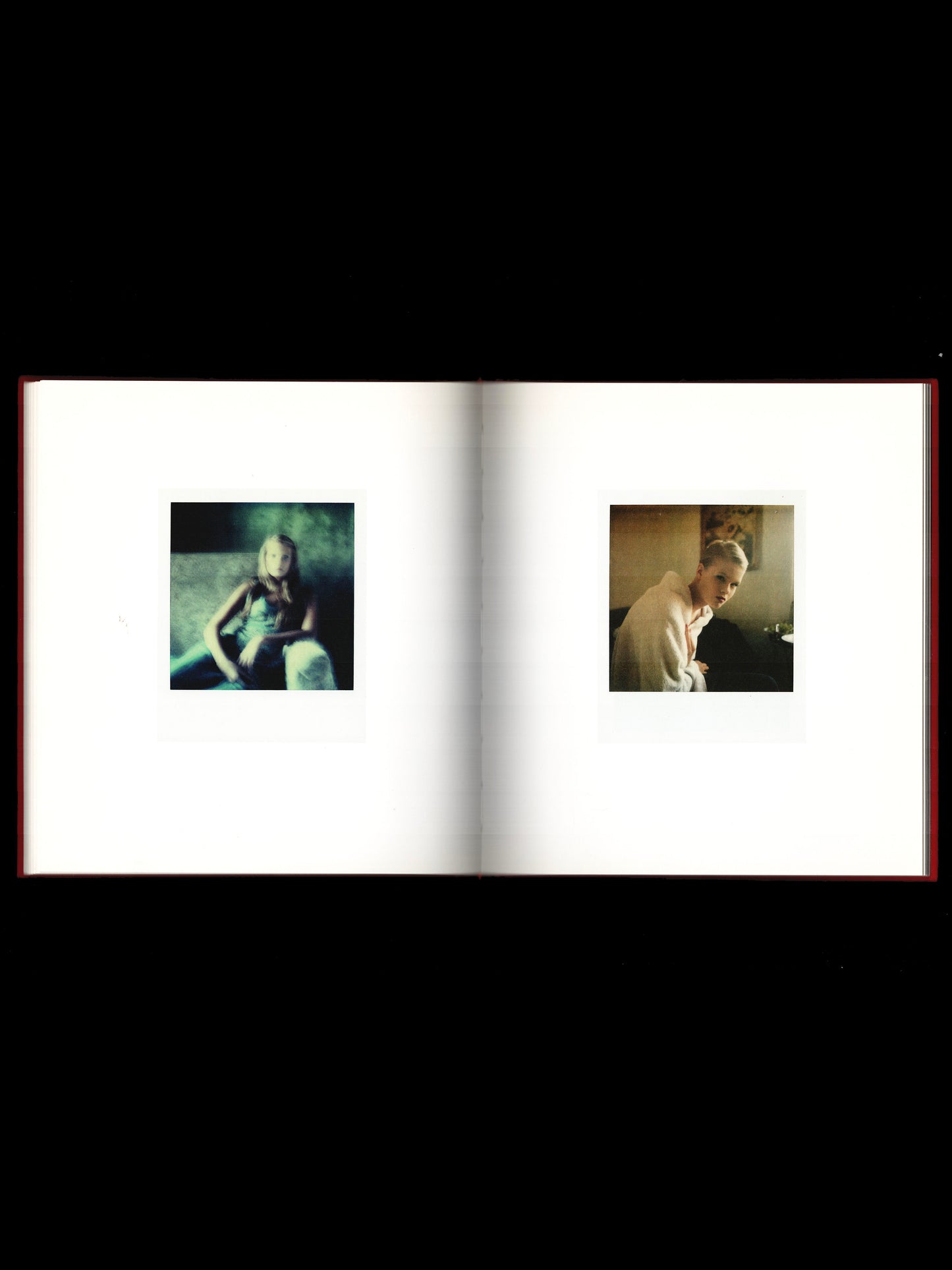 THE POLAROIDS (2011)