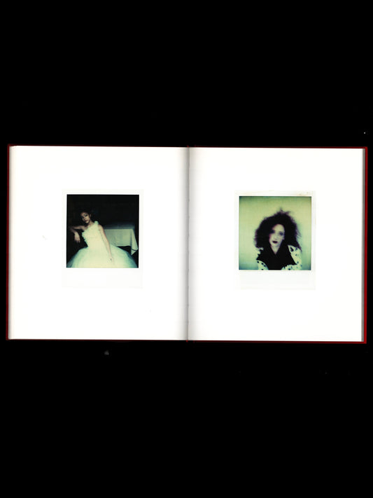 THE POLAROIDS (2011)