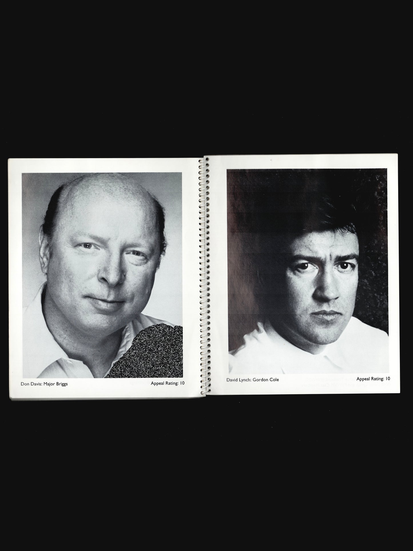 TWIN PEAKS: A PICTORIAL OF STARS (1993)