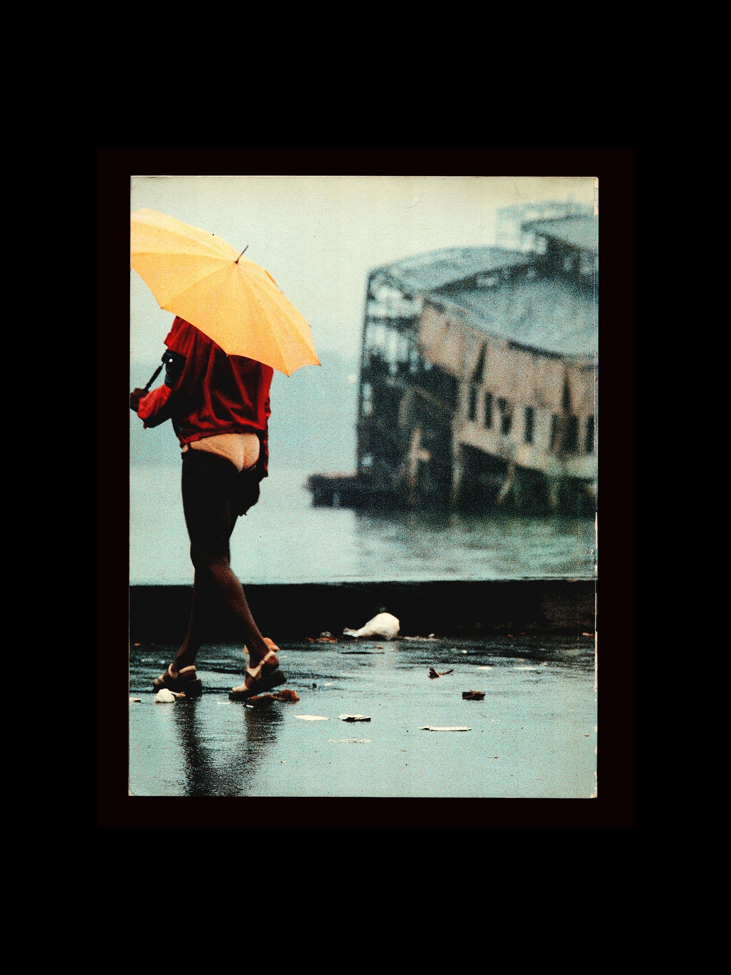 USA: LADIES & GENTLEMAN (1980)