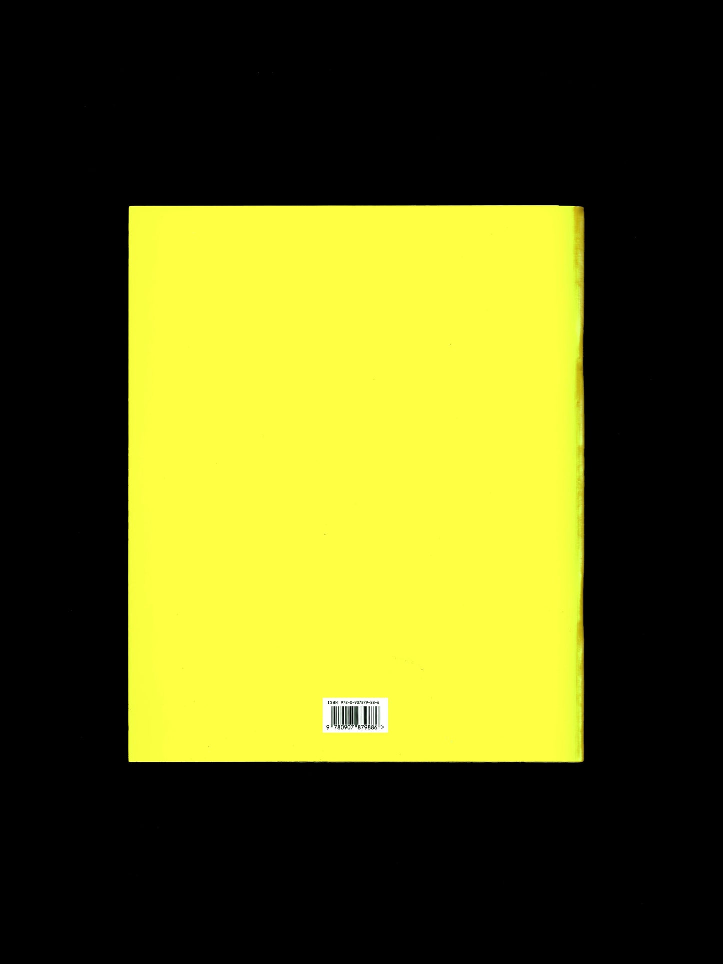 WHEN YOU'RE A BOY (2009)