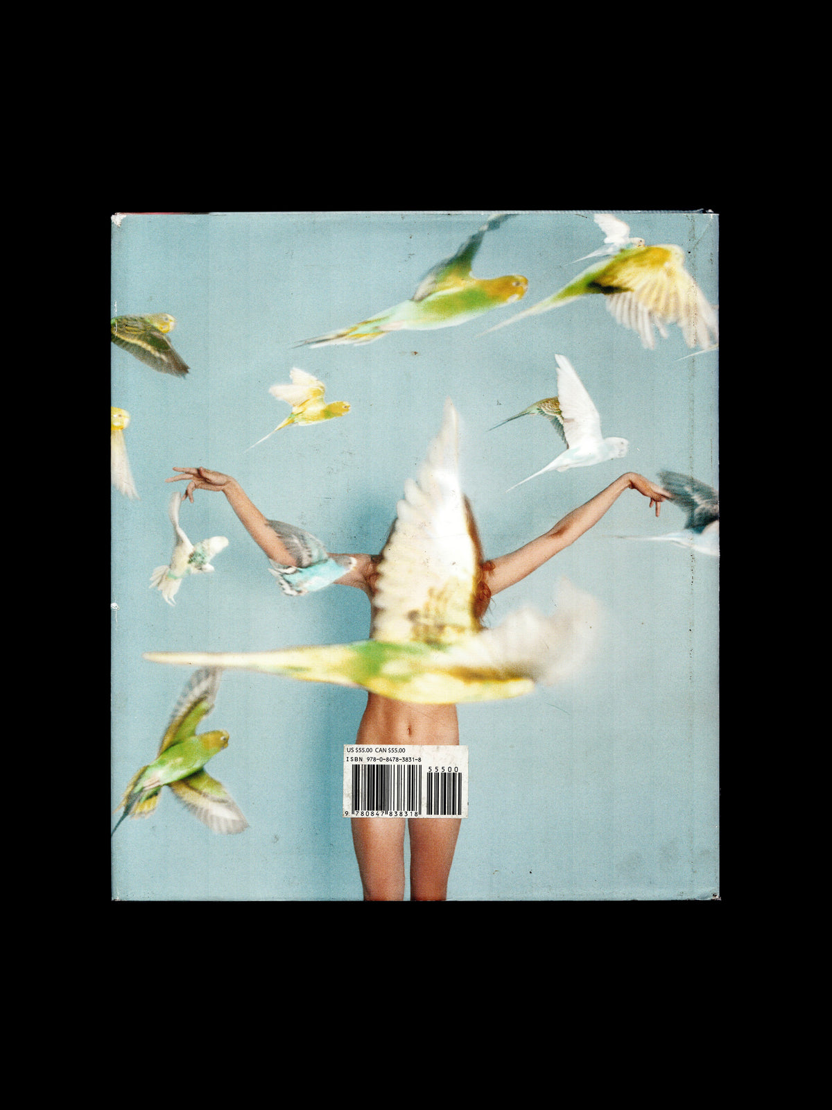 WHISTLE FOR THE WIND (2012)