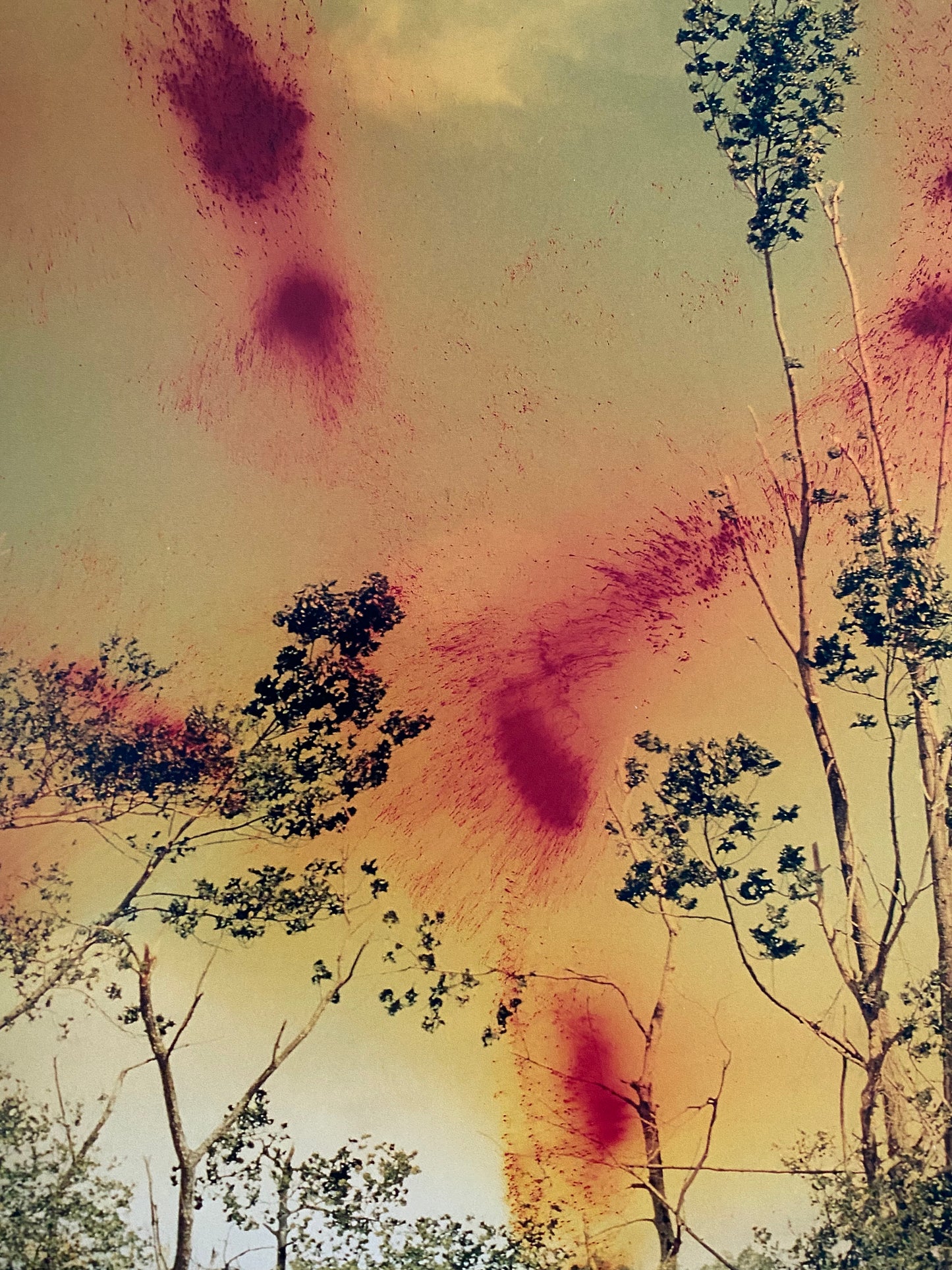 AUFSICHT: VIEW FROM ABOVE (2001)