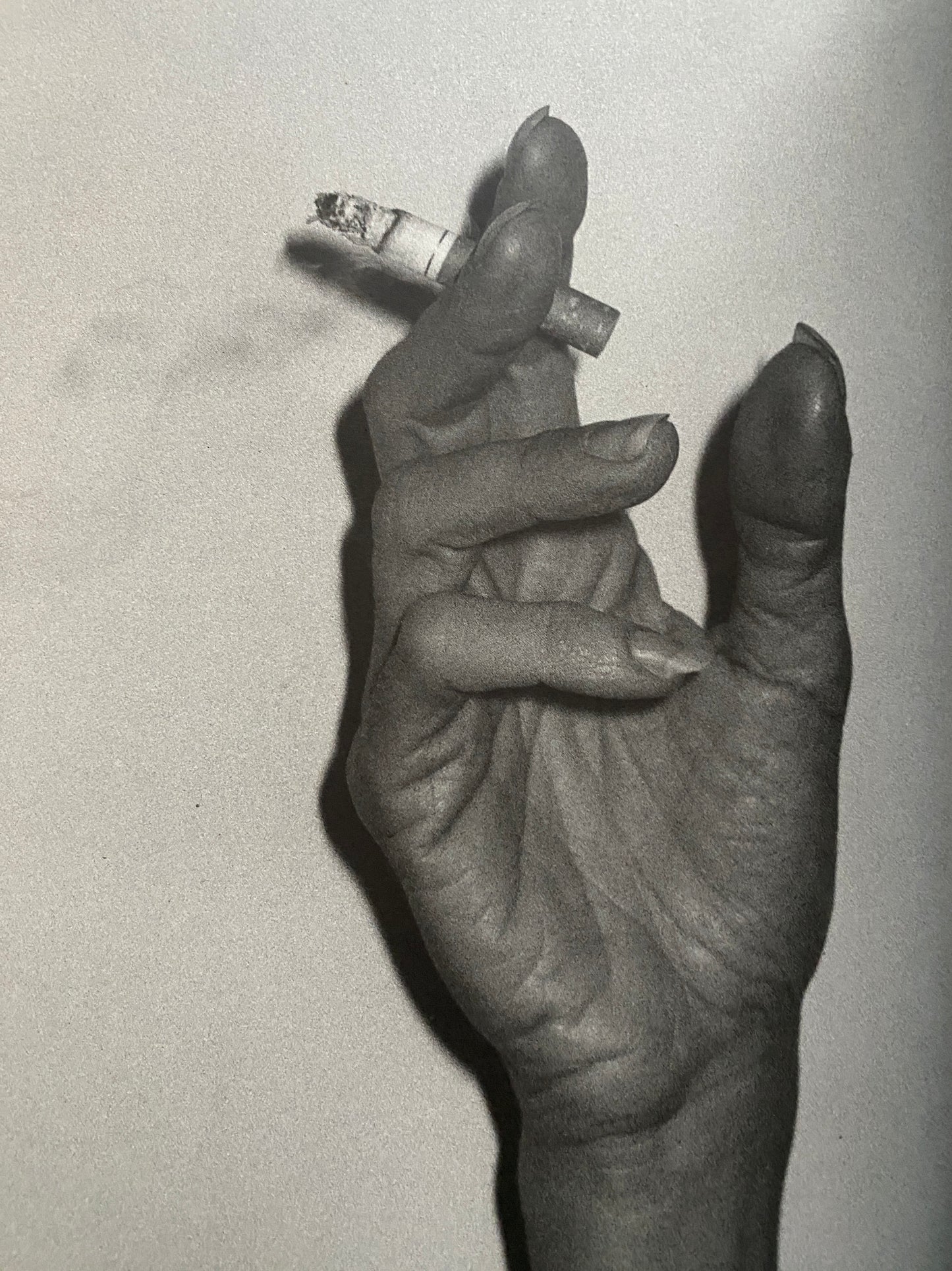 PURPLE NUMBER 16 / FALL WINTER (2003)