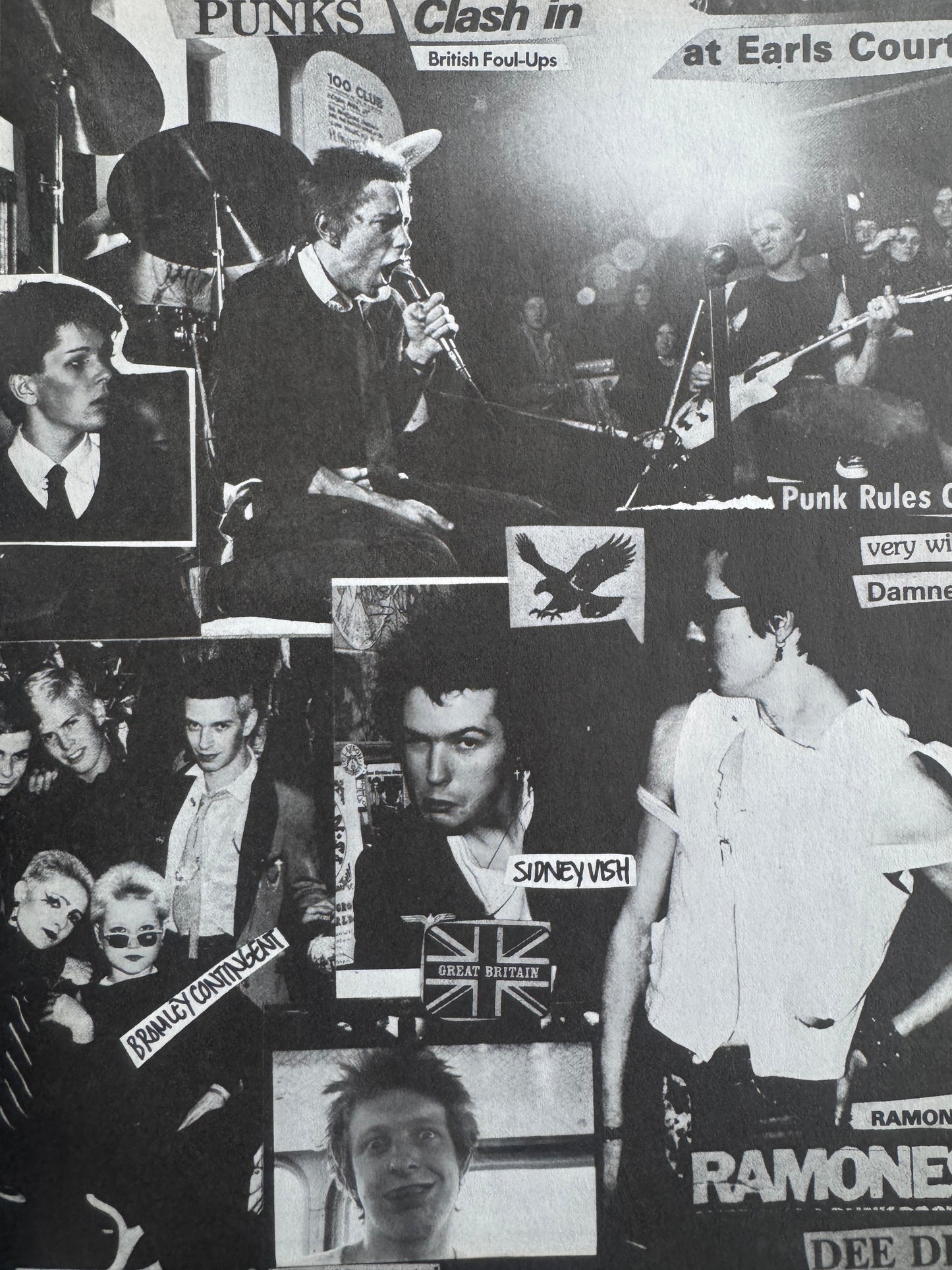 1988: THE NEW WAVE PUNK ROCK EXPLOSION (1977)