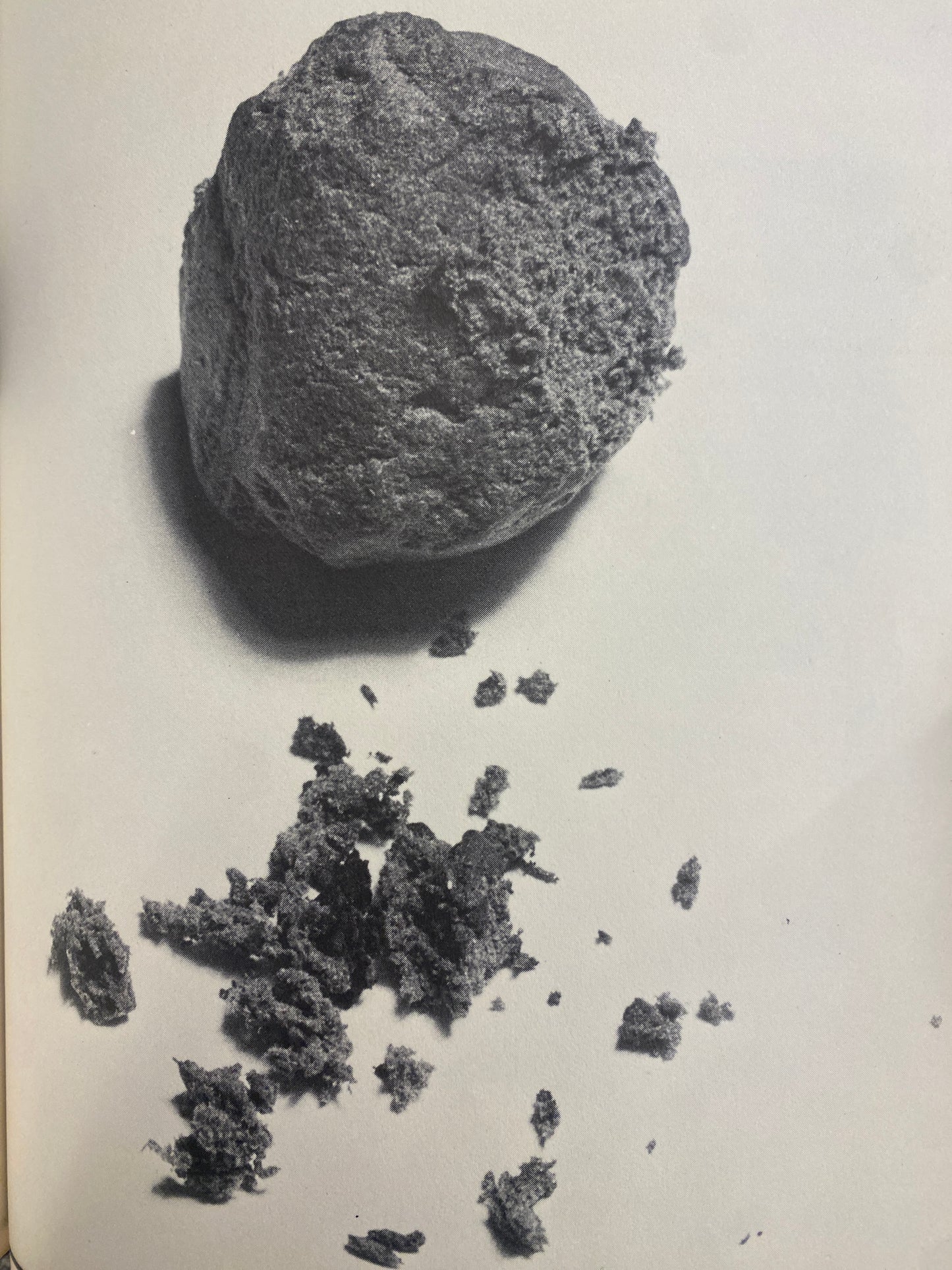 THE BOOK OF POT (1976)