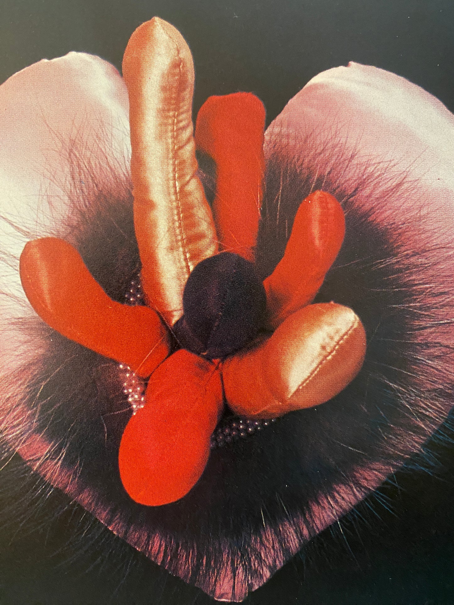 HARDCORE CRAFTS (1976)