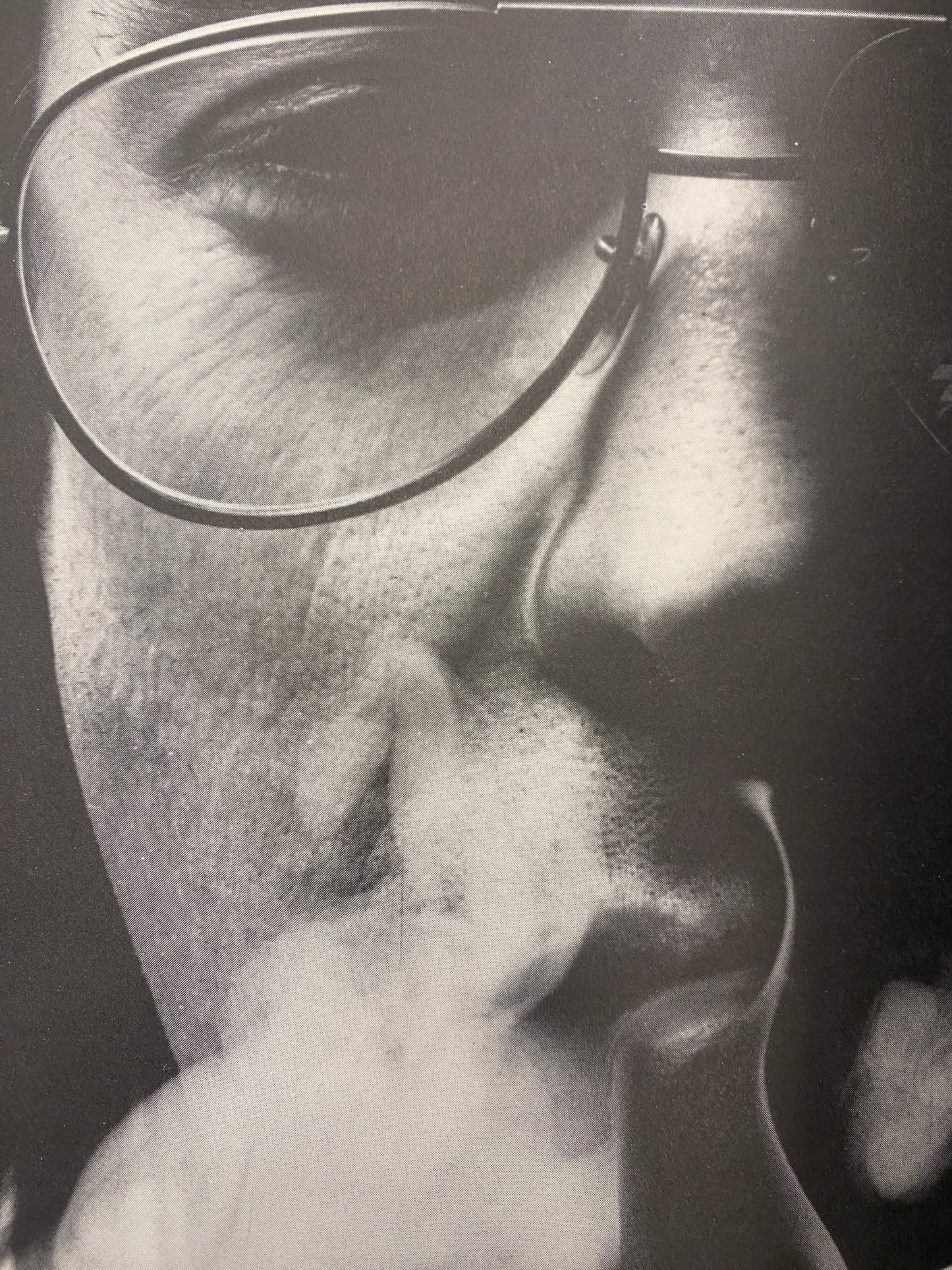 THE BOOK OF POT (1976)