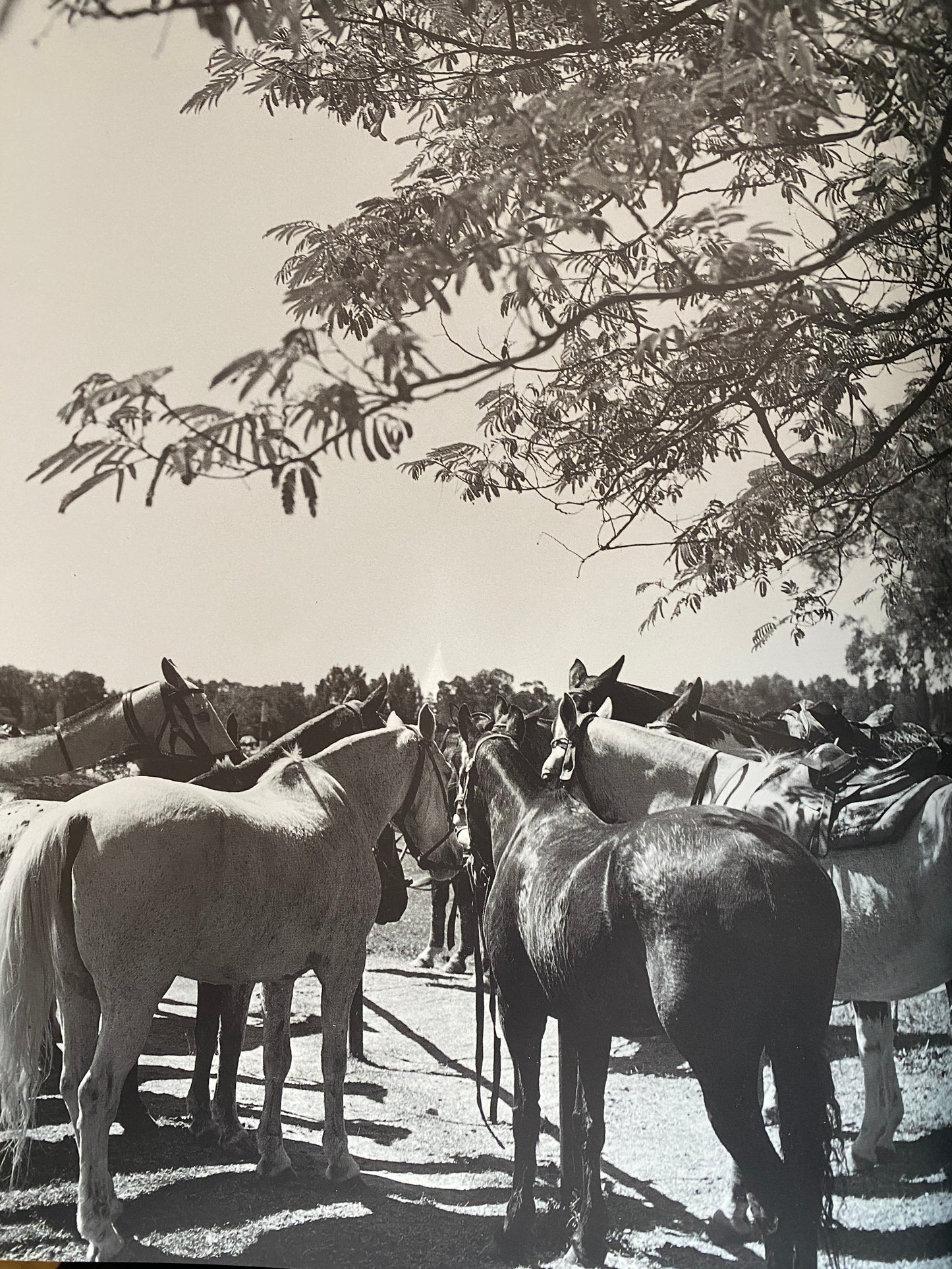 NO 30 COLLEZIONE UOMO PRIMAVERA ESTATE (1996)