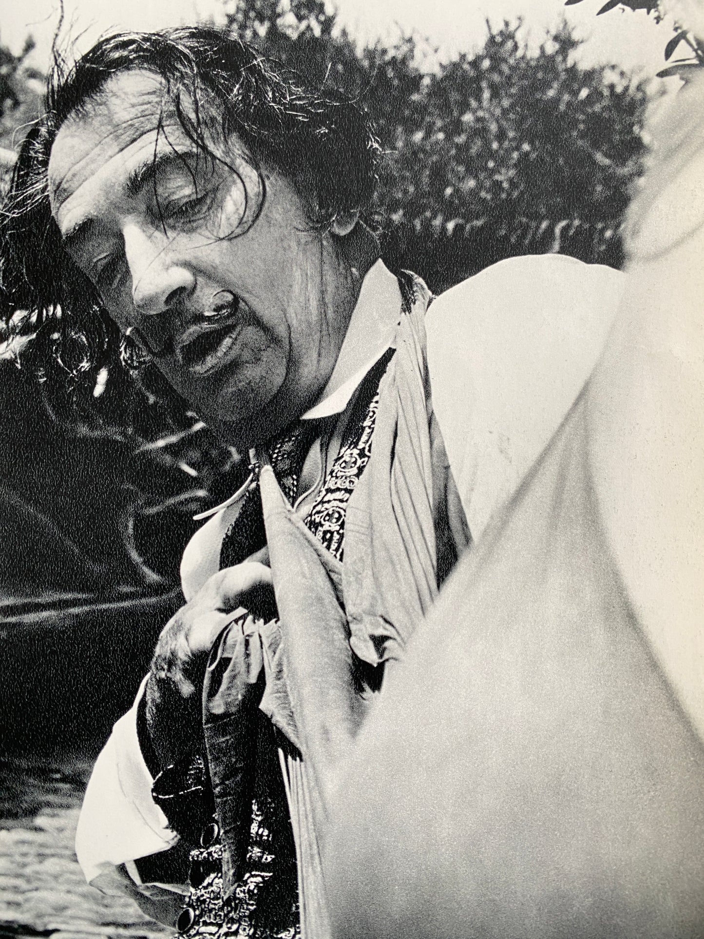 DADA DALÍ (1966)