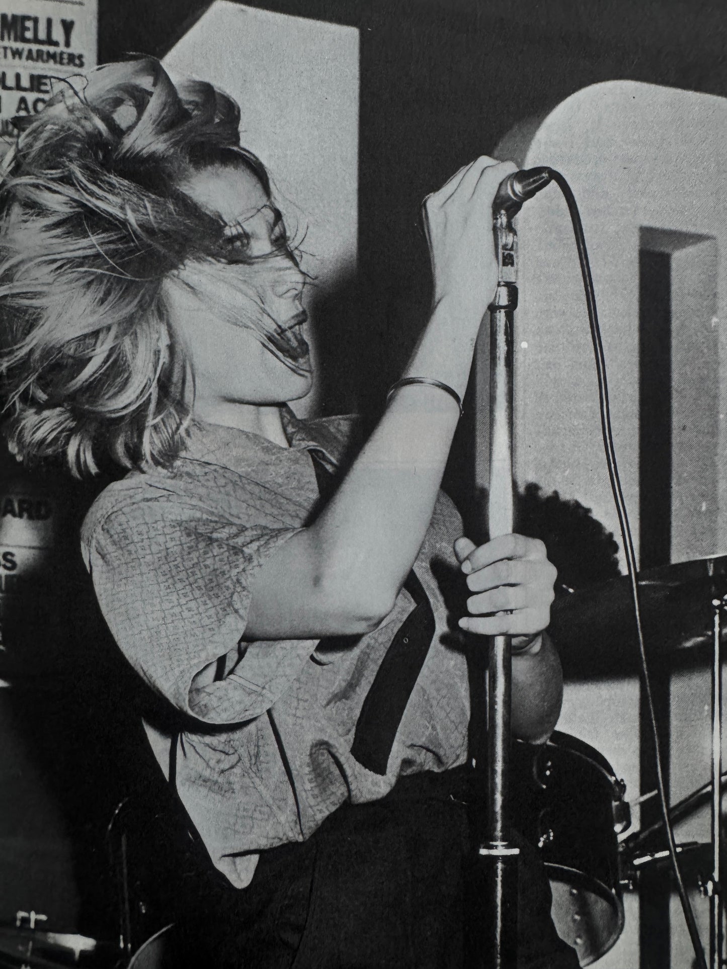 1988: THE NEW WAVE PUNK ROCK EXPLOSION (1977)