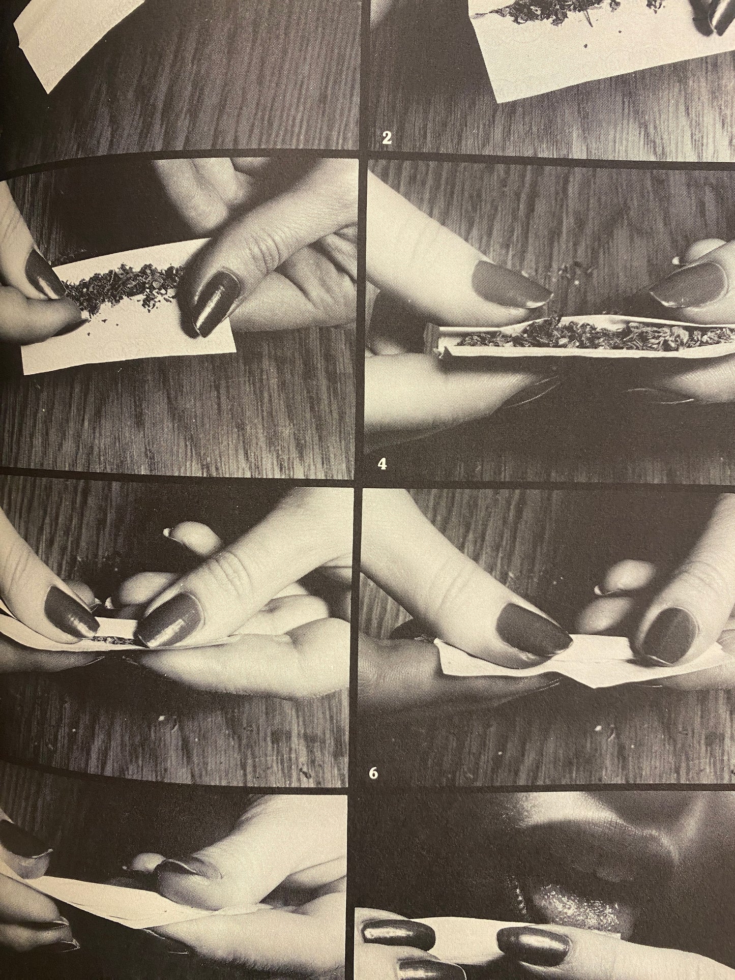 THE BOOK OF POT (1976)