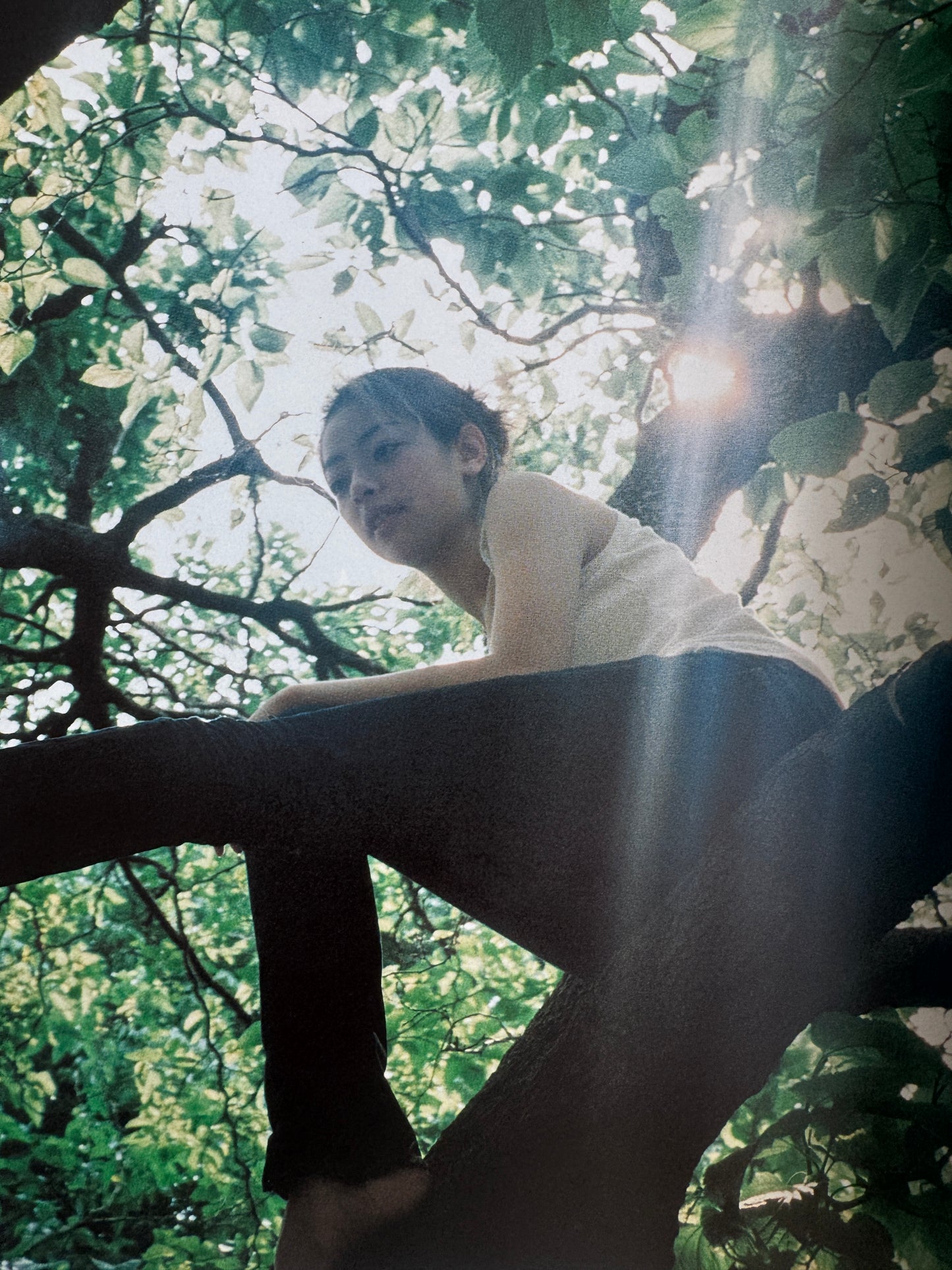NO 6  FALL/WINTER (1997)