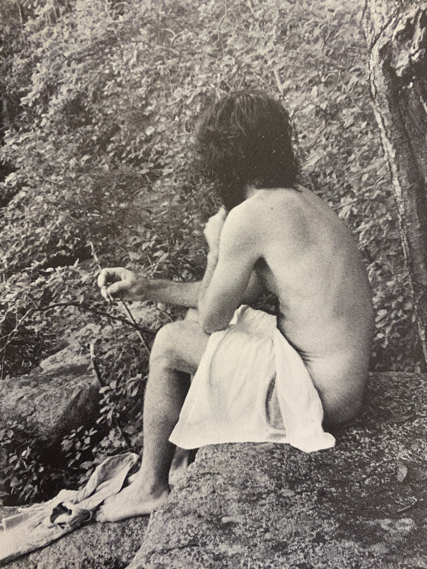 THE BOOK OF POT (1976)