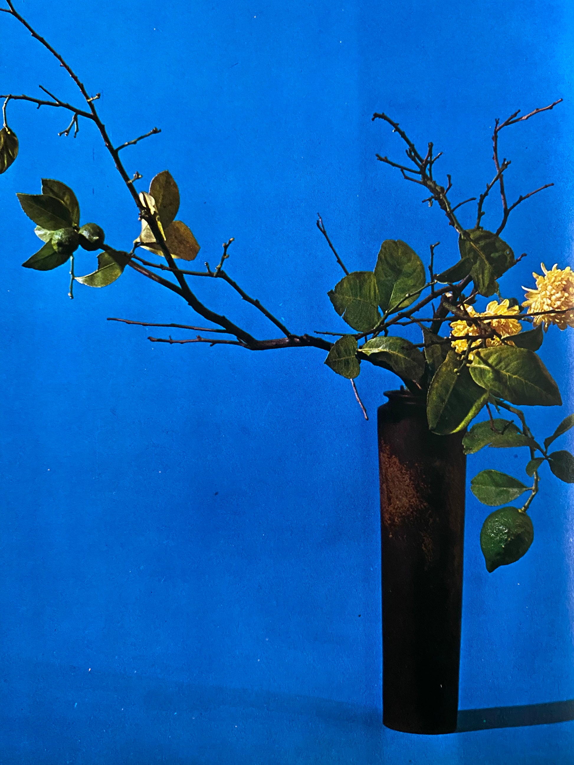 A Guide To Japanese Flower Arrangement (1969) RECORD 28 BOOKS