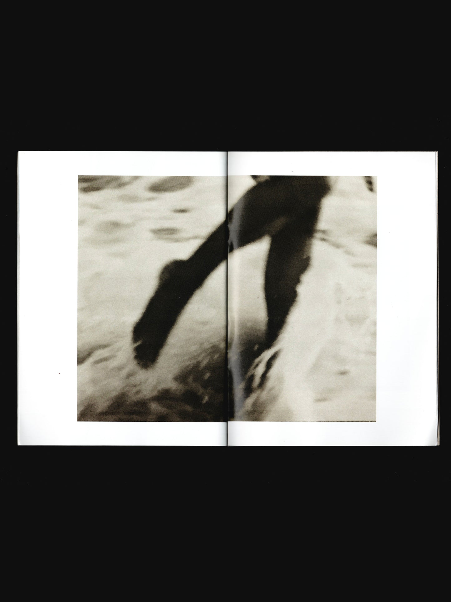 A CLOSER LOOK (2016)