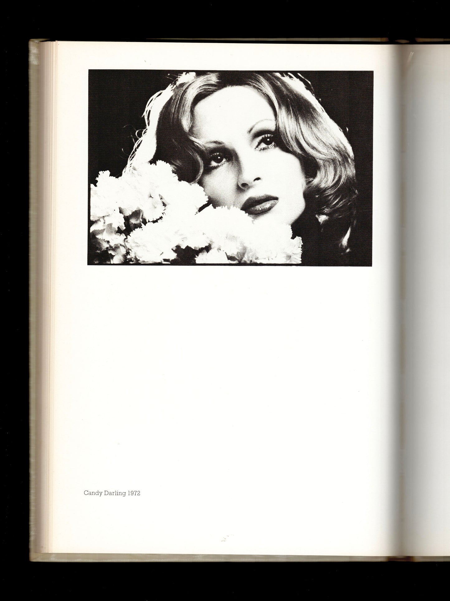 BEADY MINCES (1973)