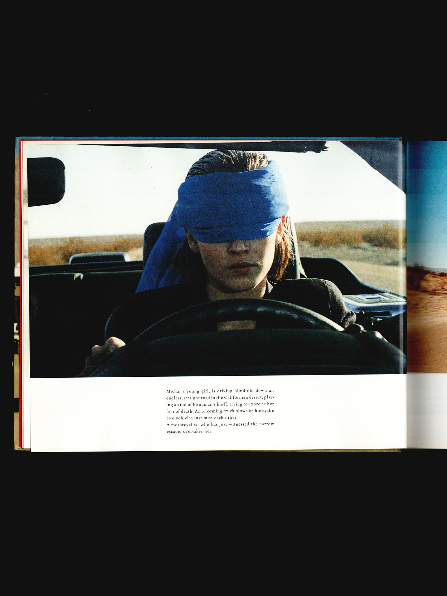 BUSTER'S BEDROOM A FILMBOOK (1991)