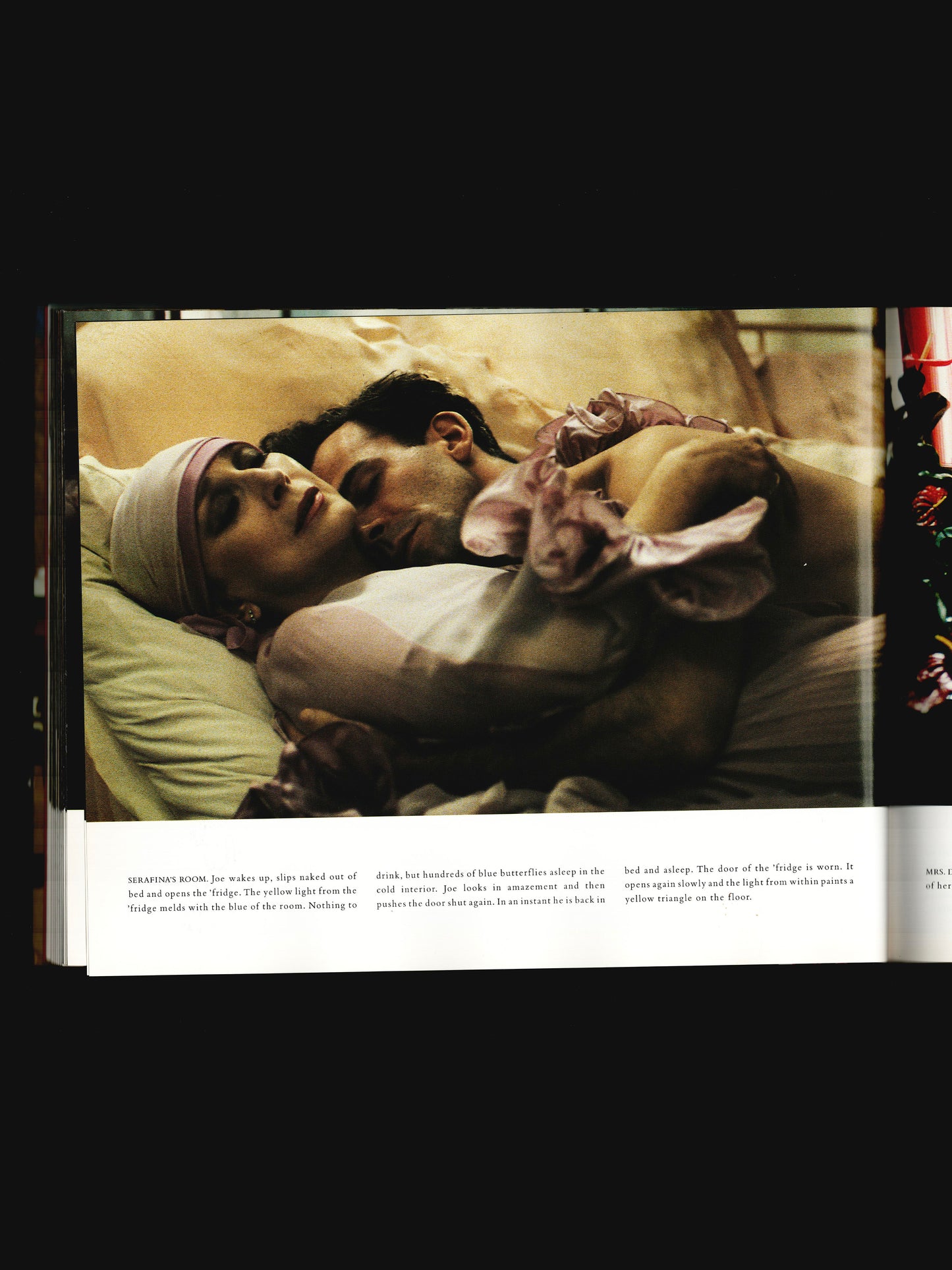 BUSTER'S BEDROOM A FILMBOOK (1991)