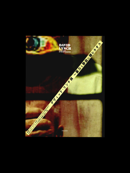 CHAOS THEORY OF VIOLENCE AND SILENCE (2012)
