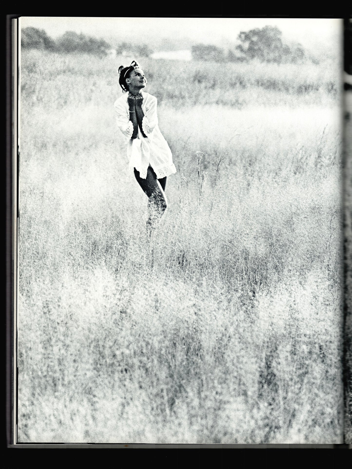COWBOY KATE & OTHER STORIES (1975)