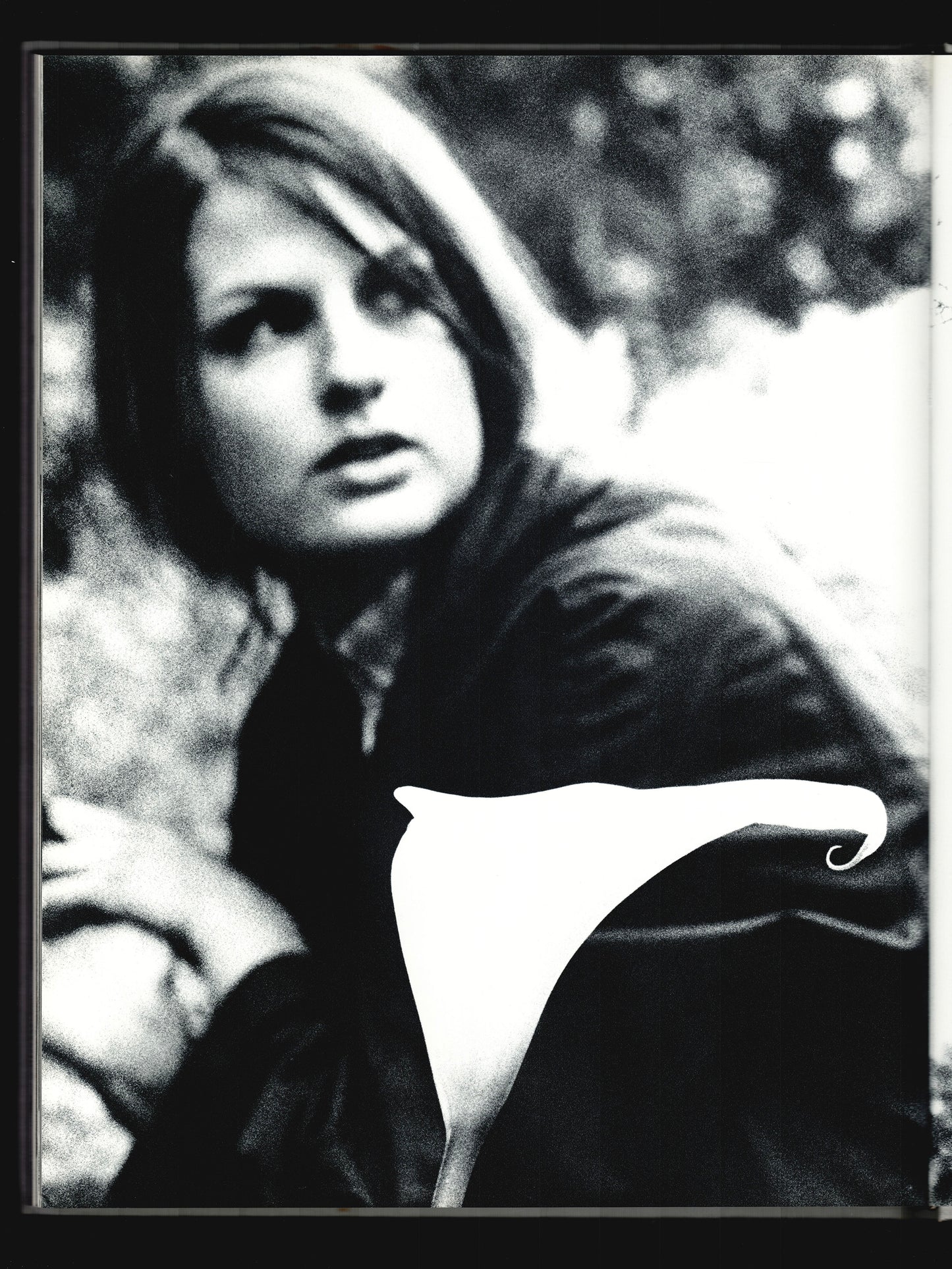 COWBOY KATE & OTHER STORIES (1975)