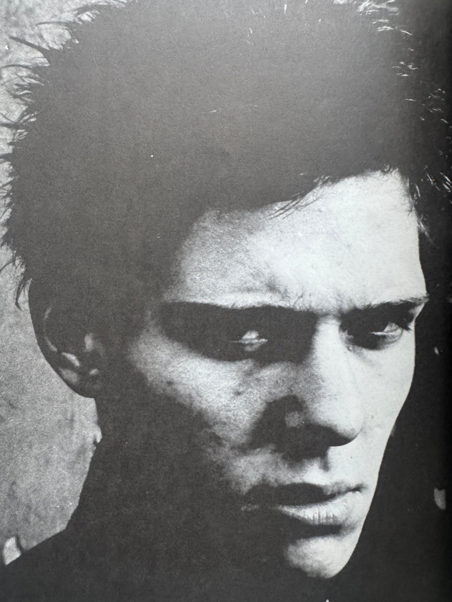 1988: THE NEW WAVE PUNK ROCK EXPLOSION (1977)