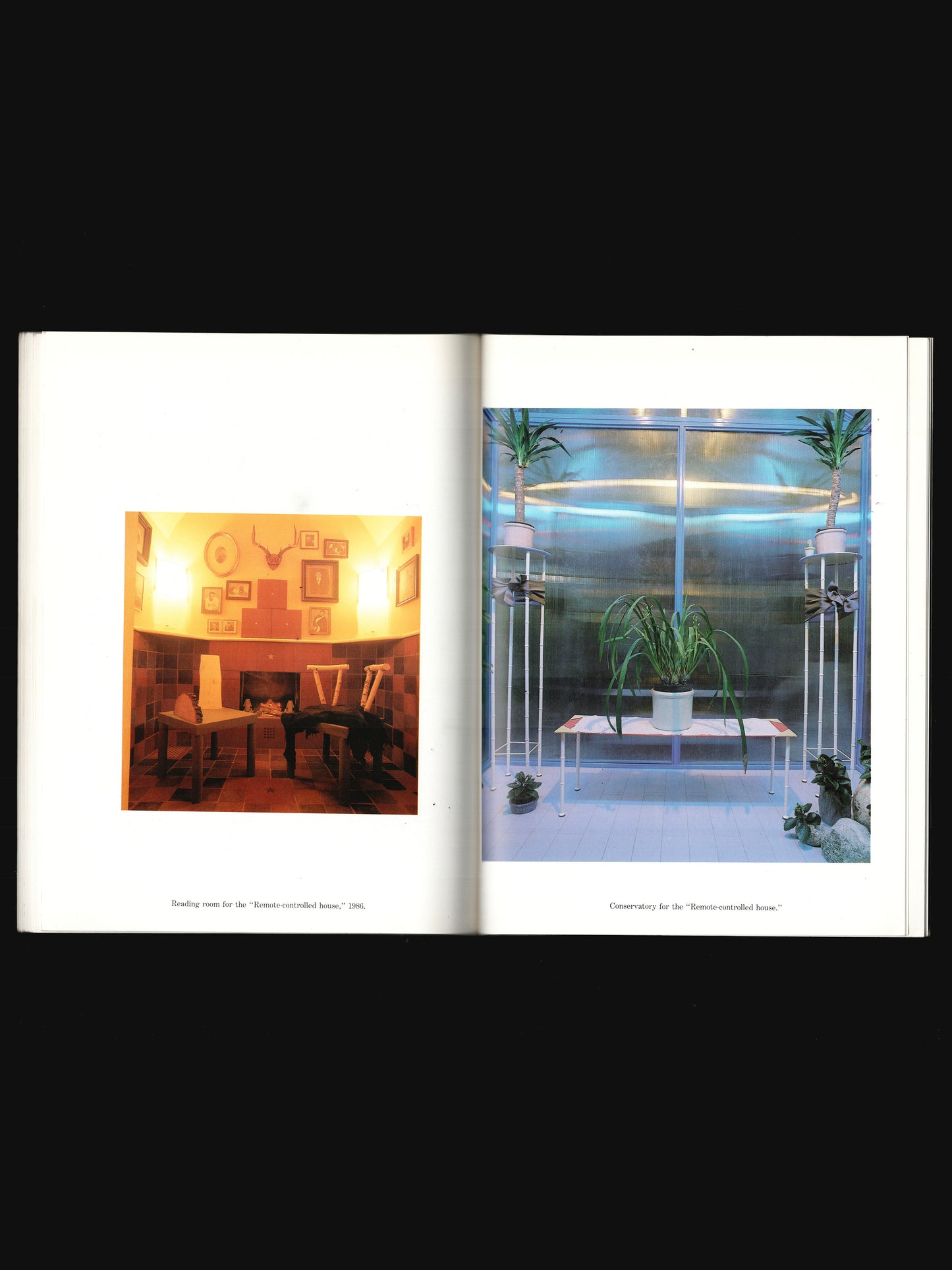 DOMESTIC ANIMALS (1987)