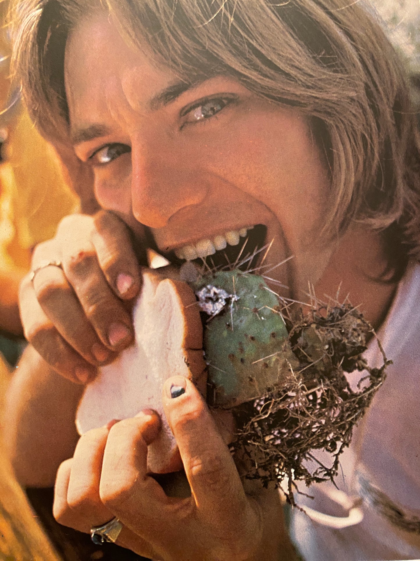 VANS AND THE TRUCKIN' LIFE (1977)