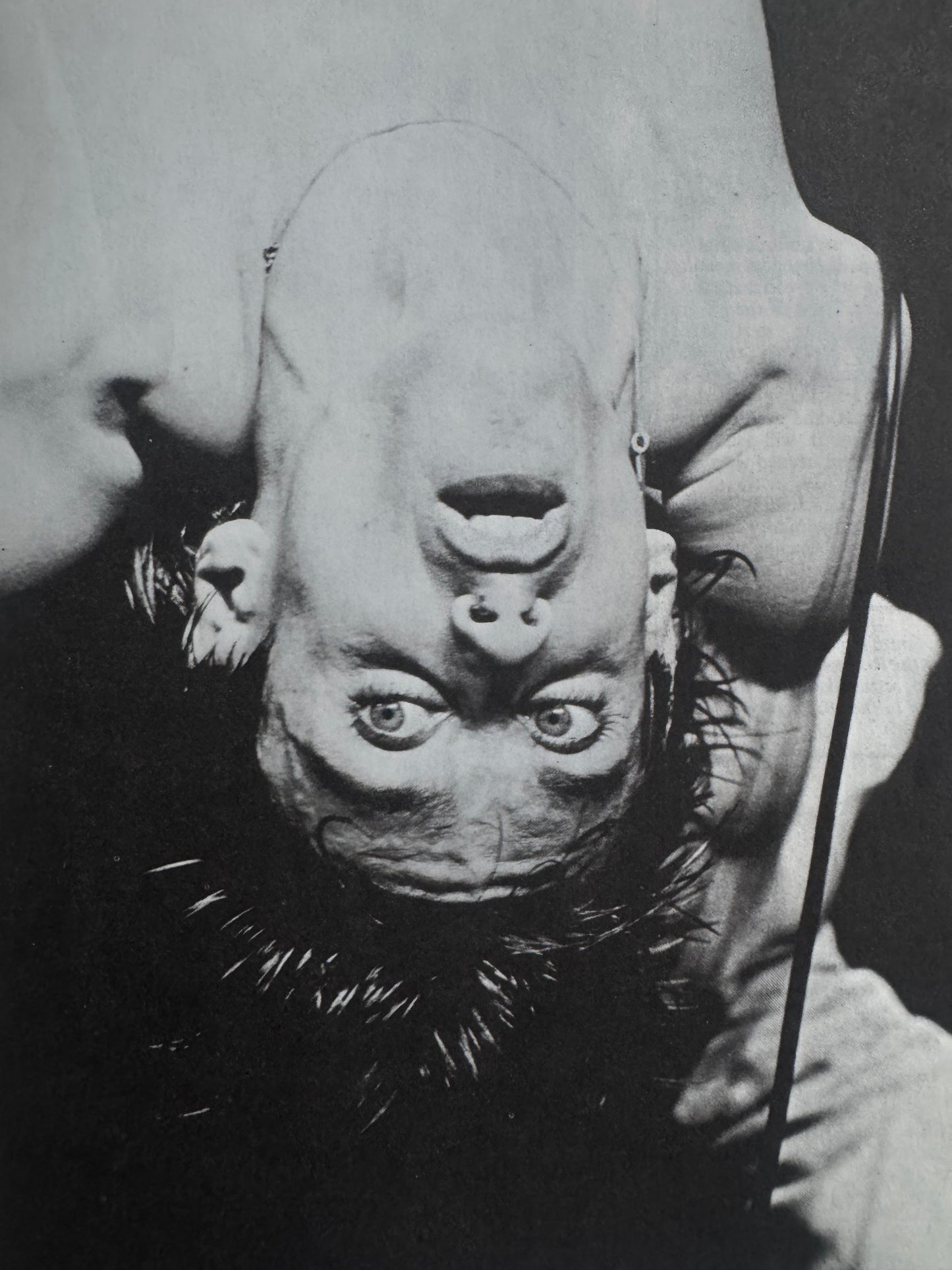 1988: THE NEW WAVE PUNK ROCK EXPLOSION (1977)