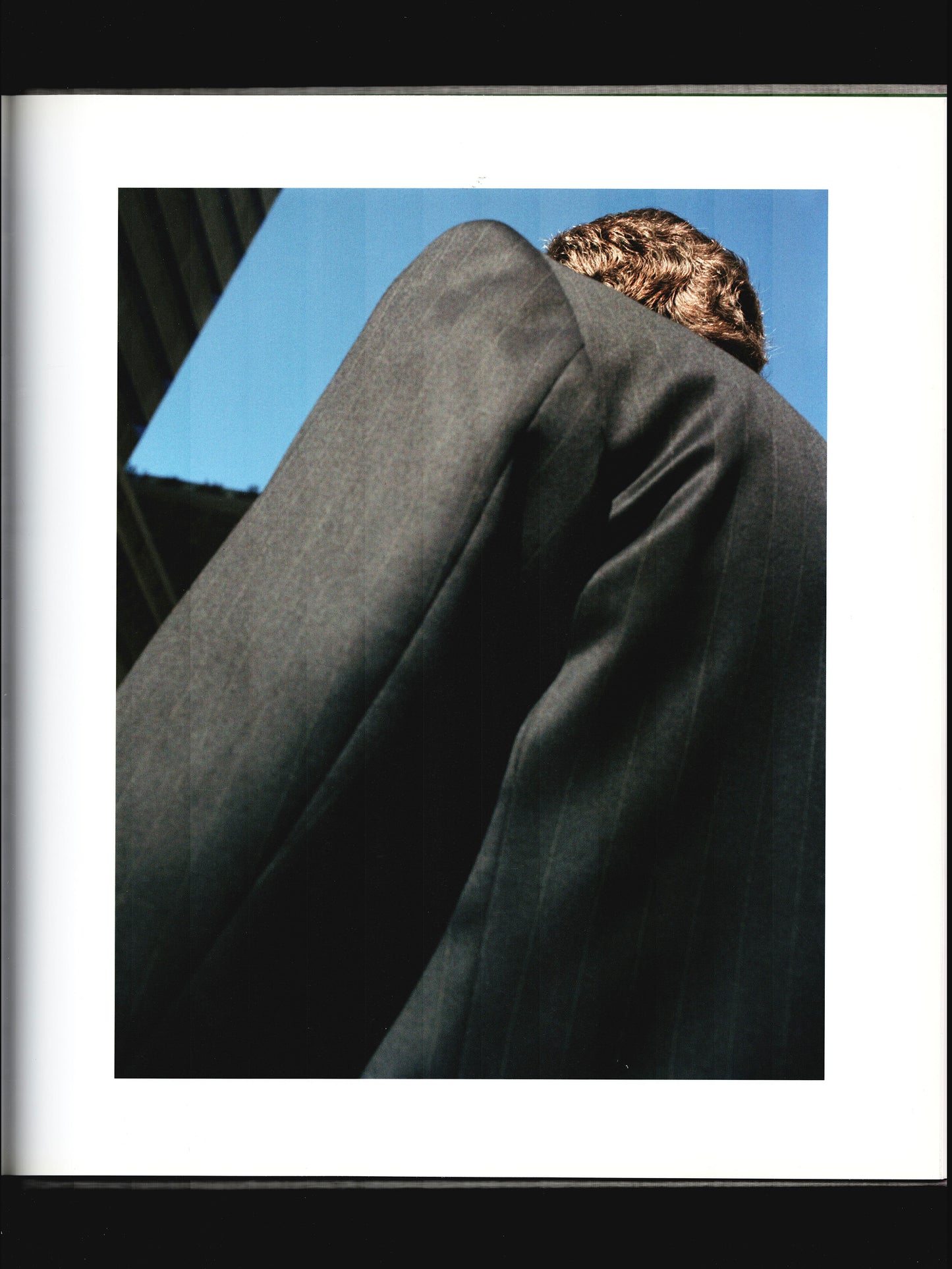 EXECUTIVE MODEL (2012)