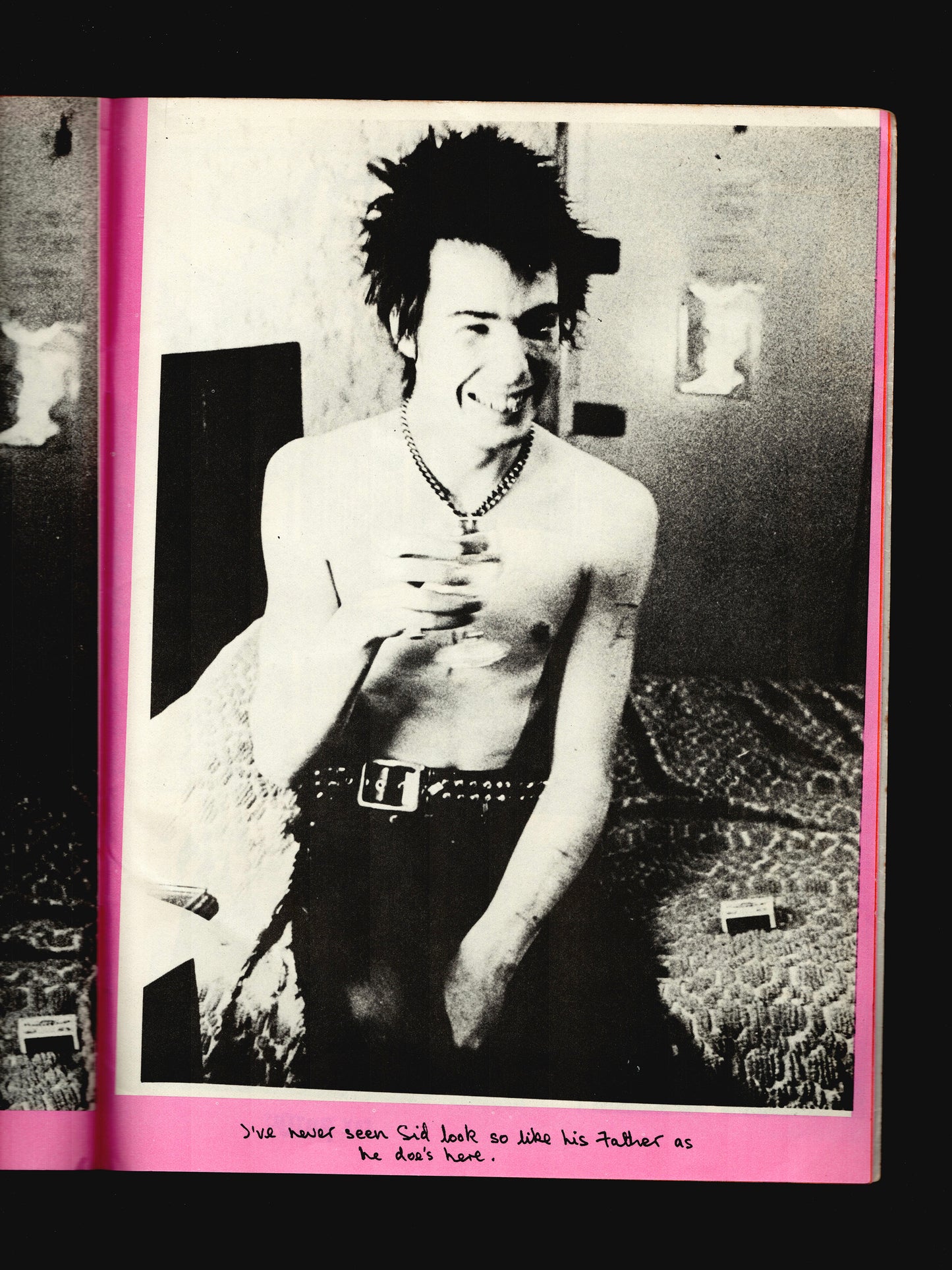 THE SID VICIOUS FAMILY ALBUM (1980)