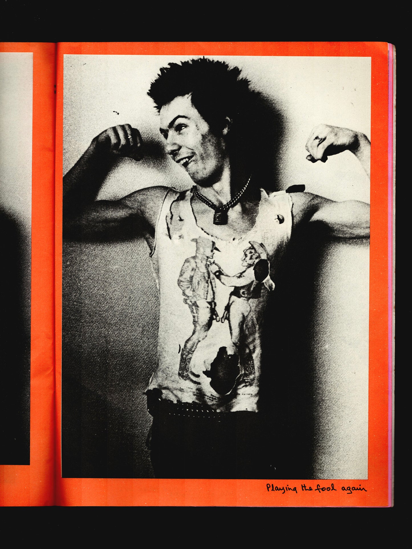 THE SID VICIOUS FAMILY ALBUM (1980)