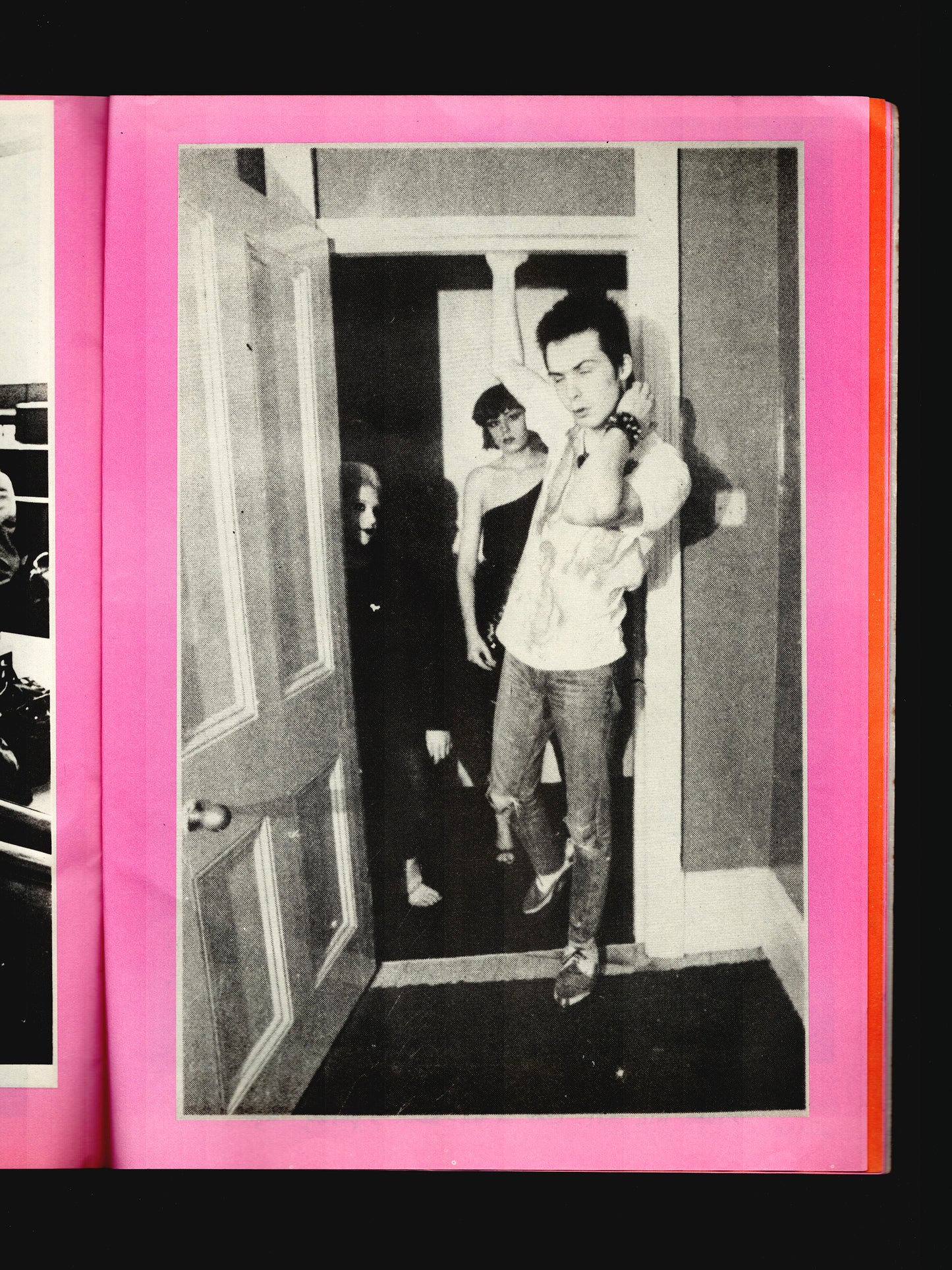 THE SID VICIOUS FAMILY ALBUM (1980)