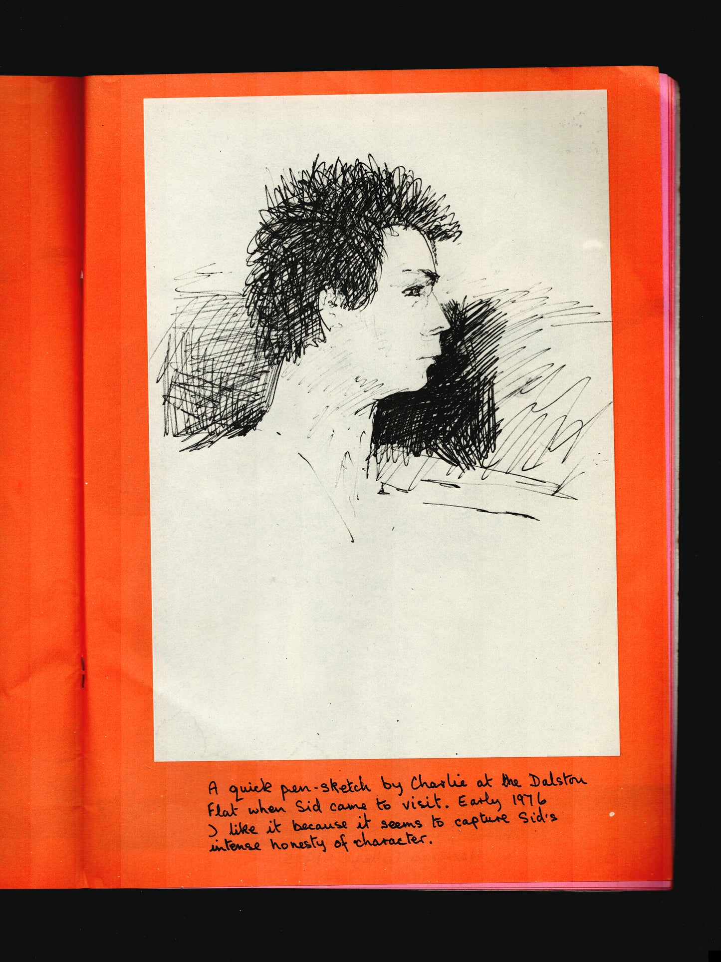 THE SID VICIOUS FAMILY ALBUM (1980)