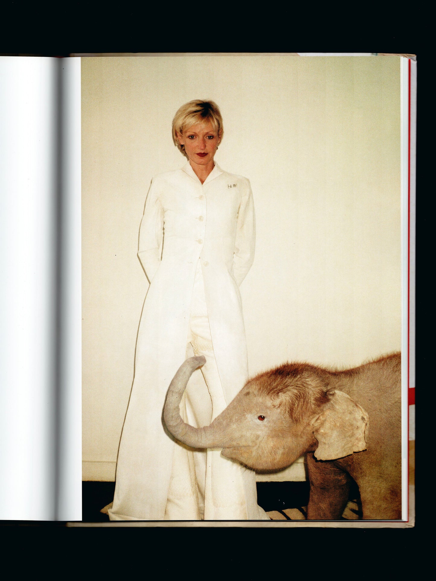 IN PHOTOGRAPHY SINCE 1990 (2004)