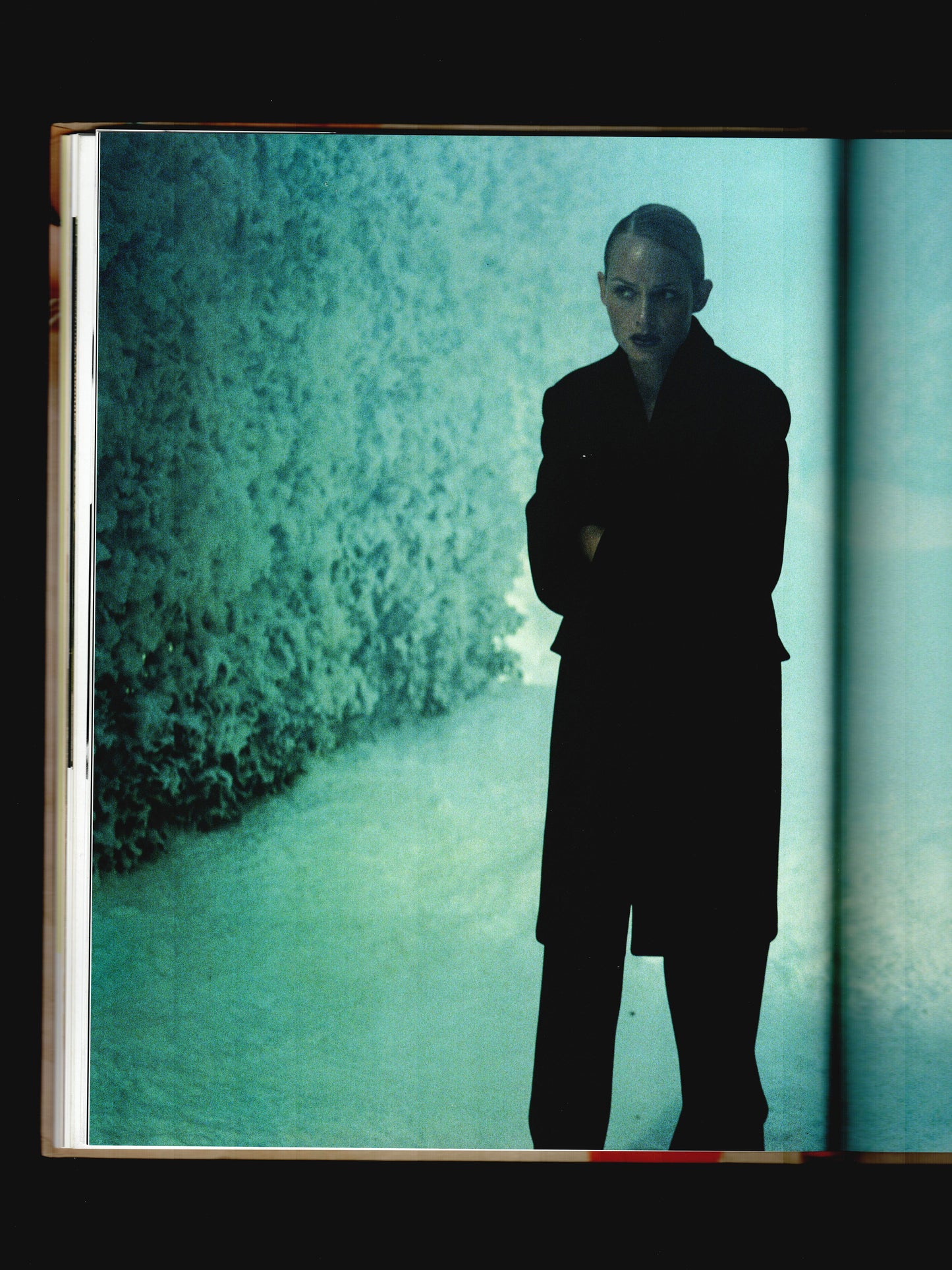 IN PHOTOGRAPHY SINCE 1990 (2004)