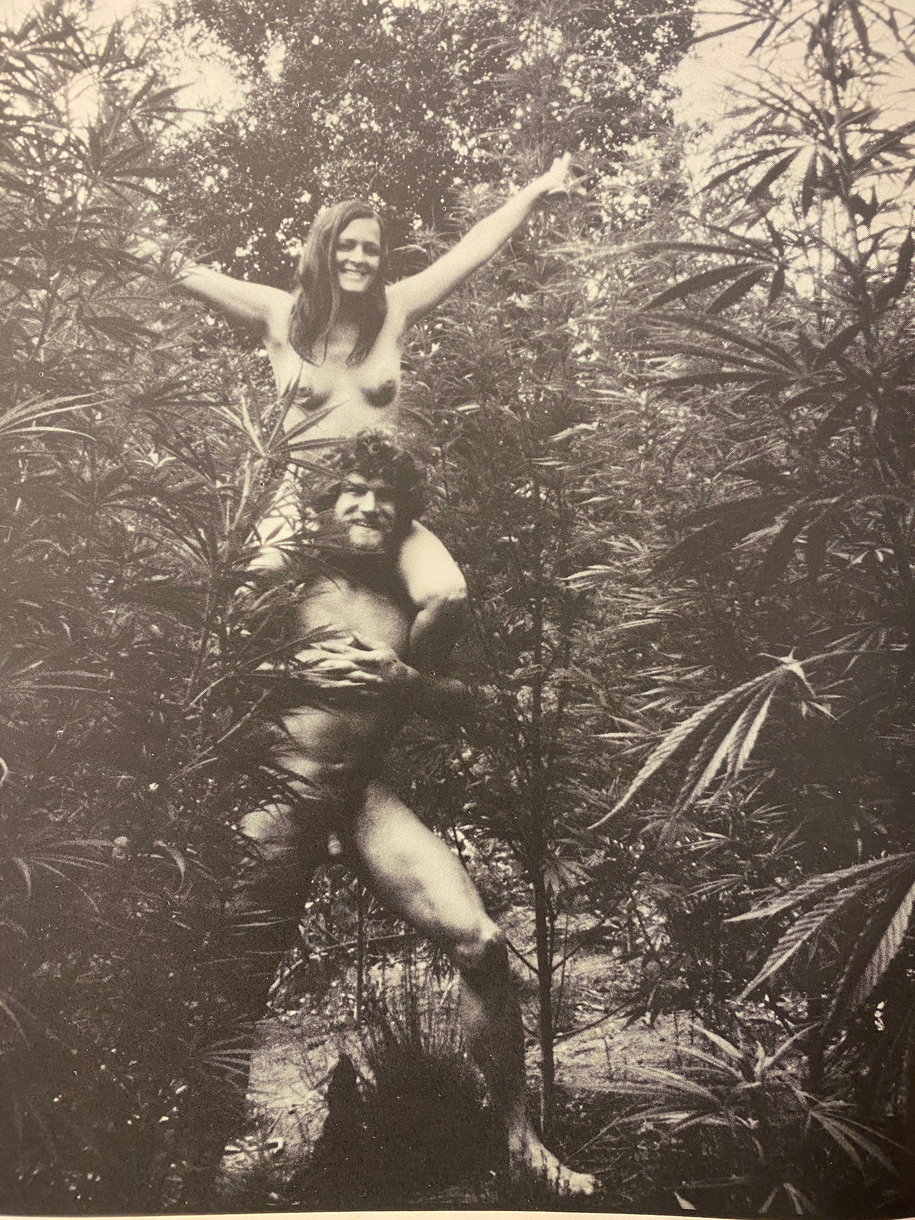 THE BOOK OF POT (1976)