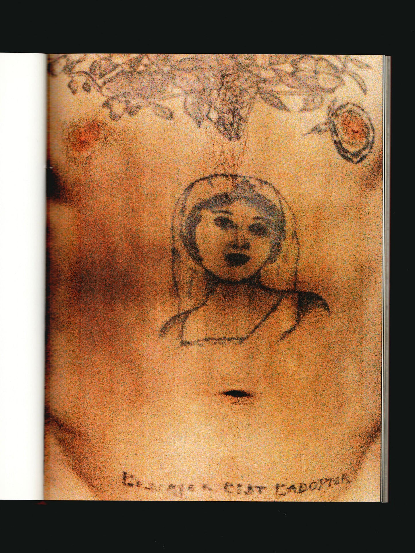 FLEURS DE PEAU, BILDER AUF DER HAUT (1999)