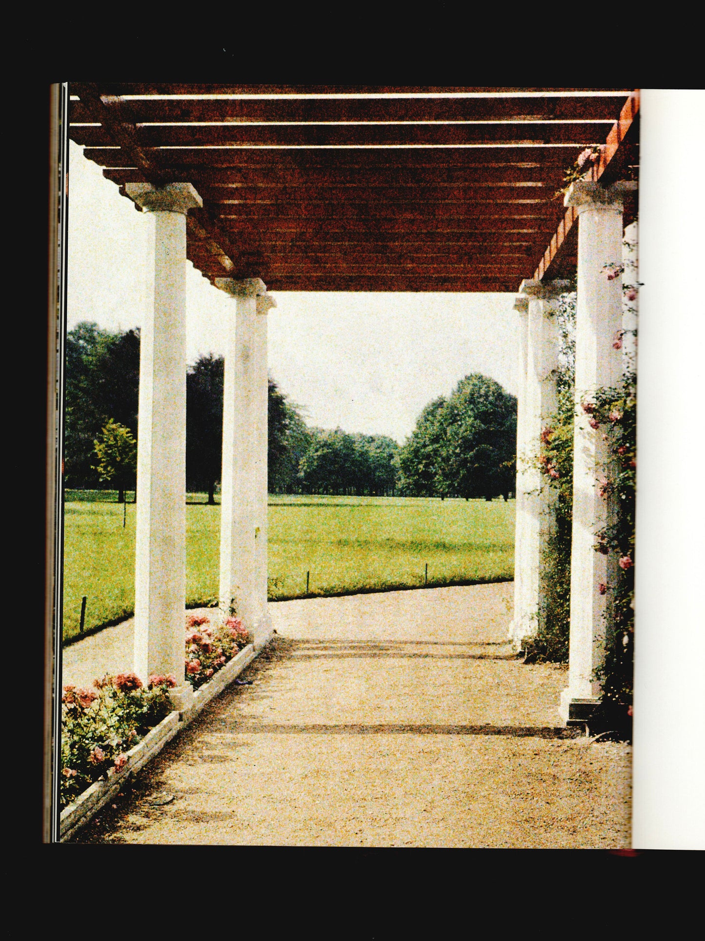 FLEURS DE PEAU, BILDER AUF DER HAUT (1999)