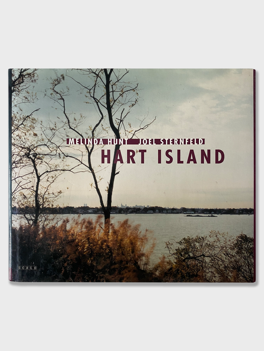 Joel Sternfeld - Hart Island (1998)